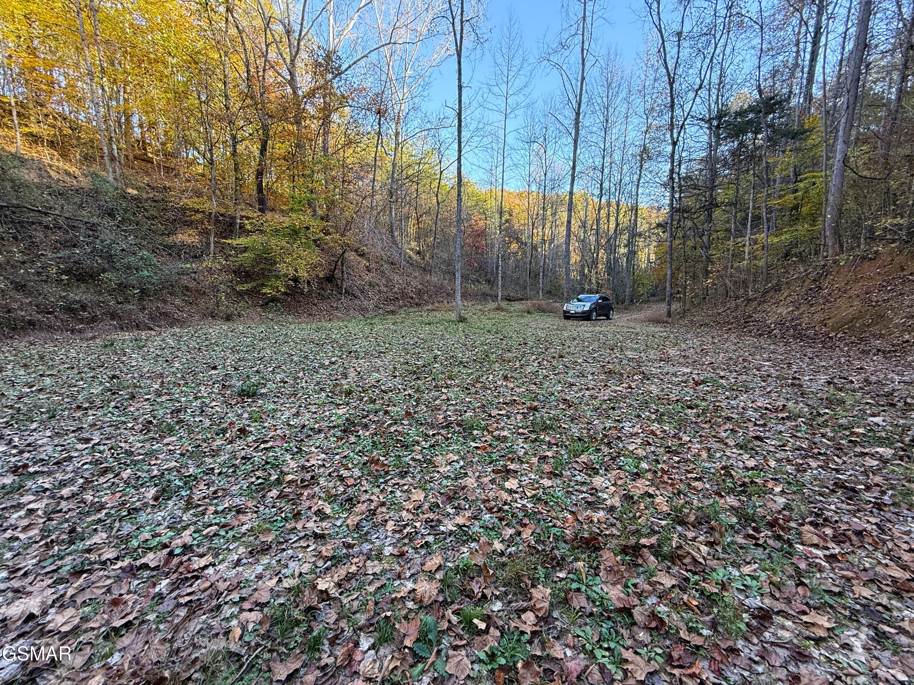 Tract 7 Topaz Way Parrottsville TN 37843
