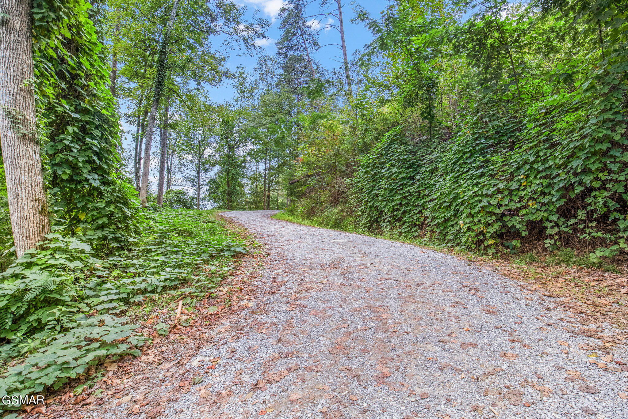 Mount Garrison Way Gatlinburg TN 37738