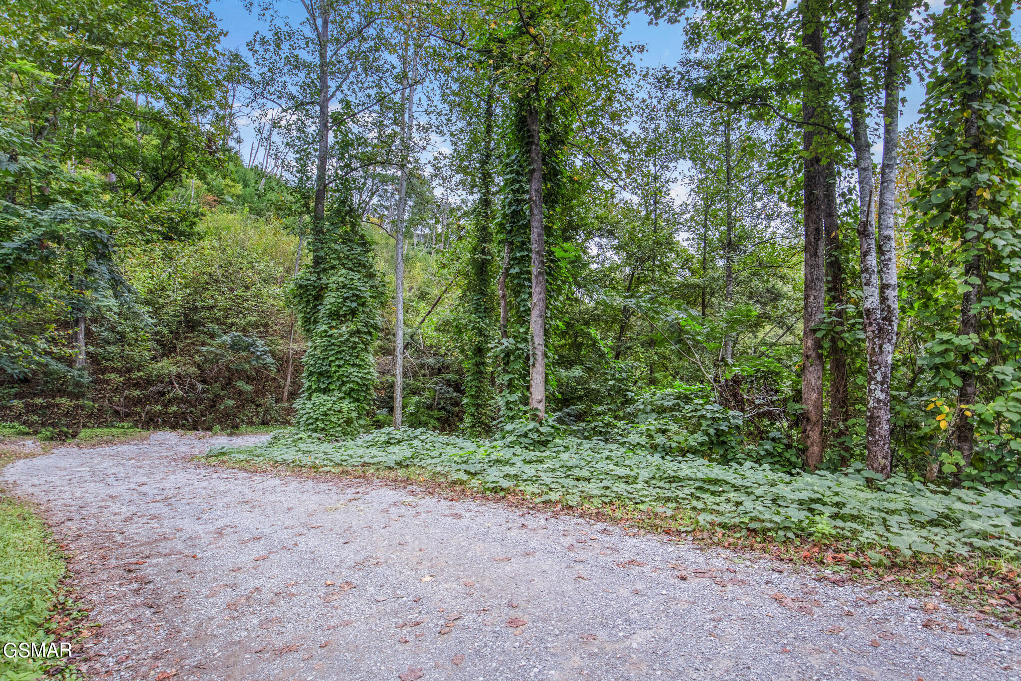 Mount Garrison Way Gatlinburg TN 37738