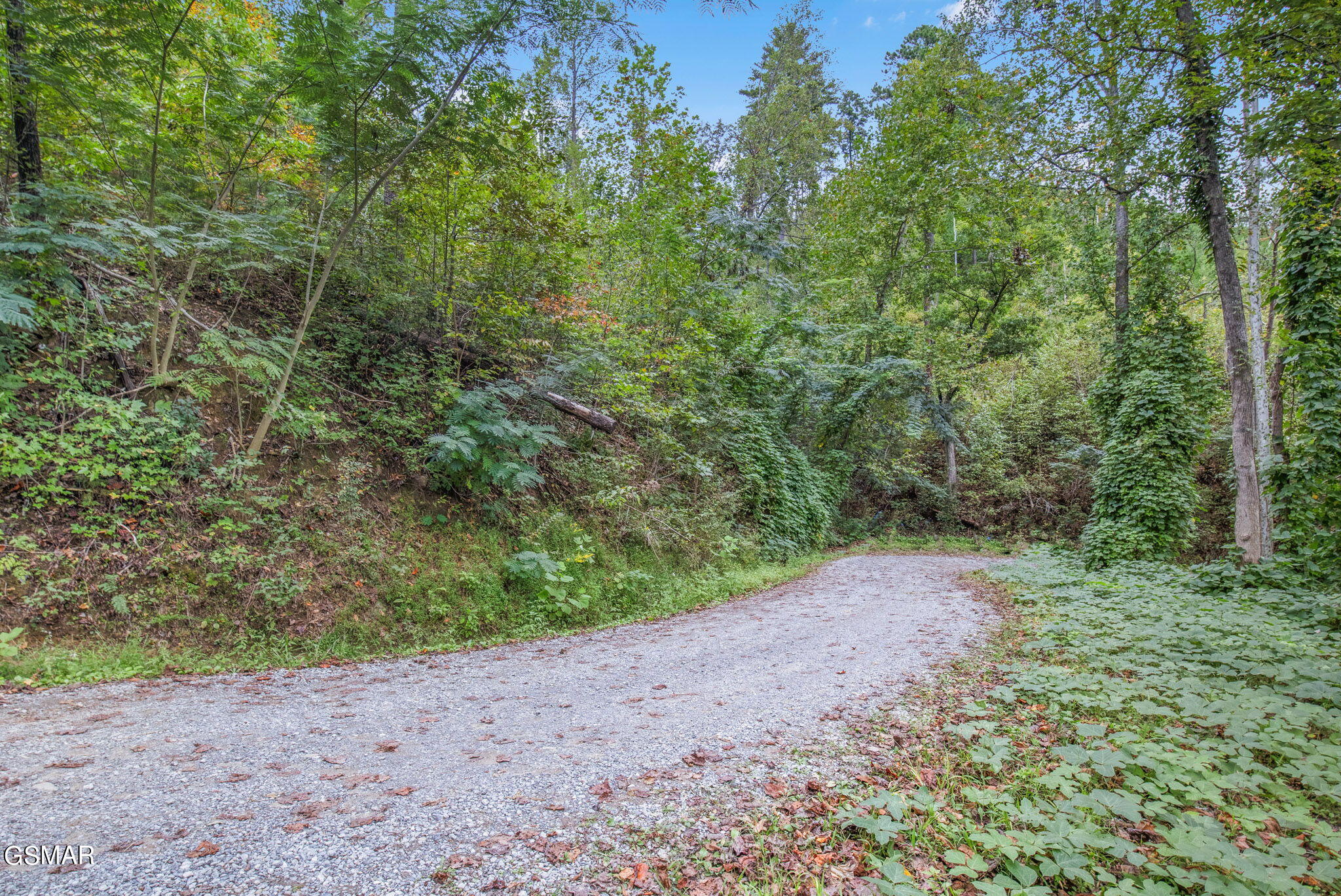 Mount Garrison Way Gatlinburg TN 37738