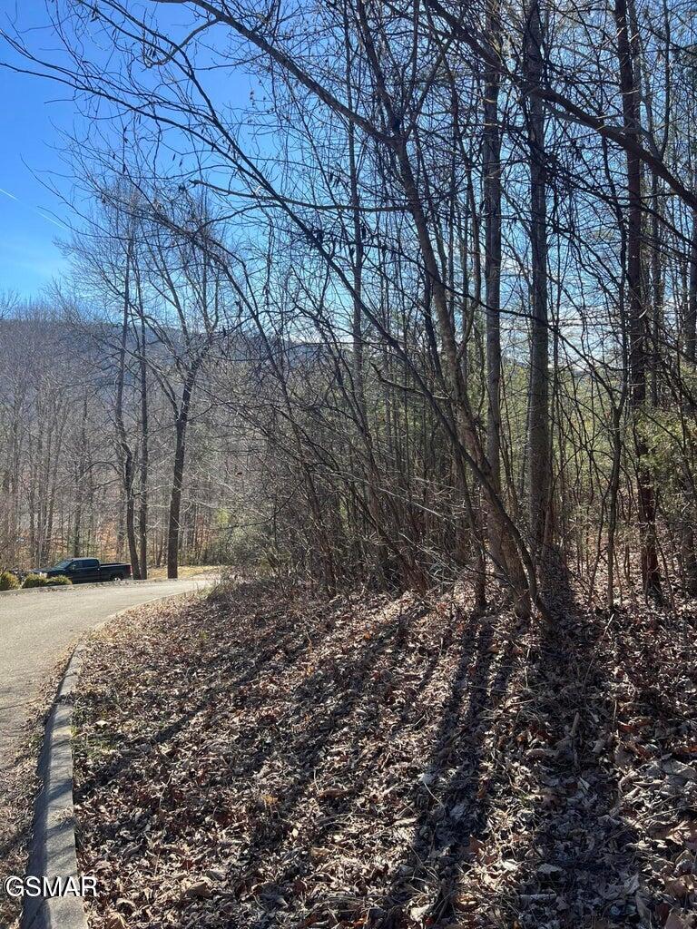 1012 Country Mountain Road Cosby TN 37722