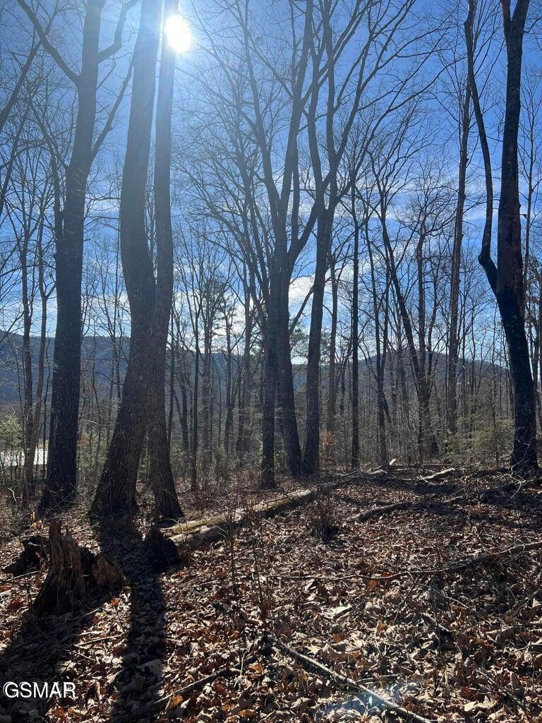 1012 Country Mountain Road Cosby TN 37722