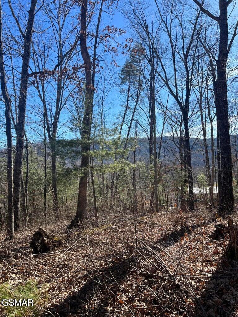 1012 Country Mountain Road Cosby TN 37722