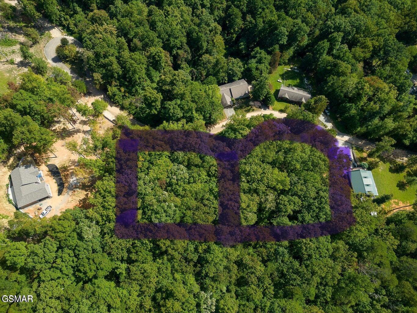 1012 Country Mountain Road Cosby TN 37722
