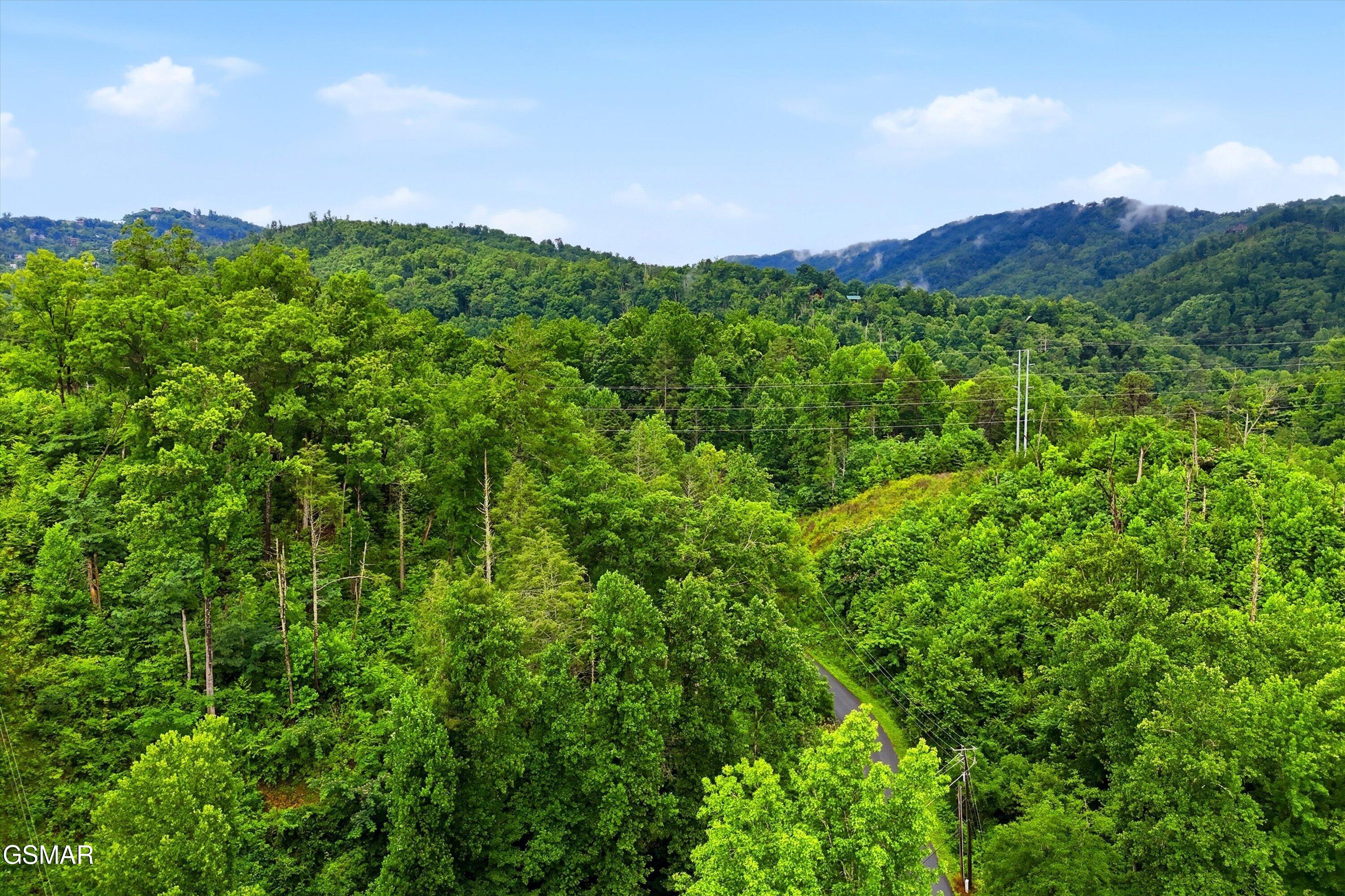 127 Beech Branch Road Gatlinburg TN 37738