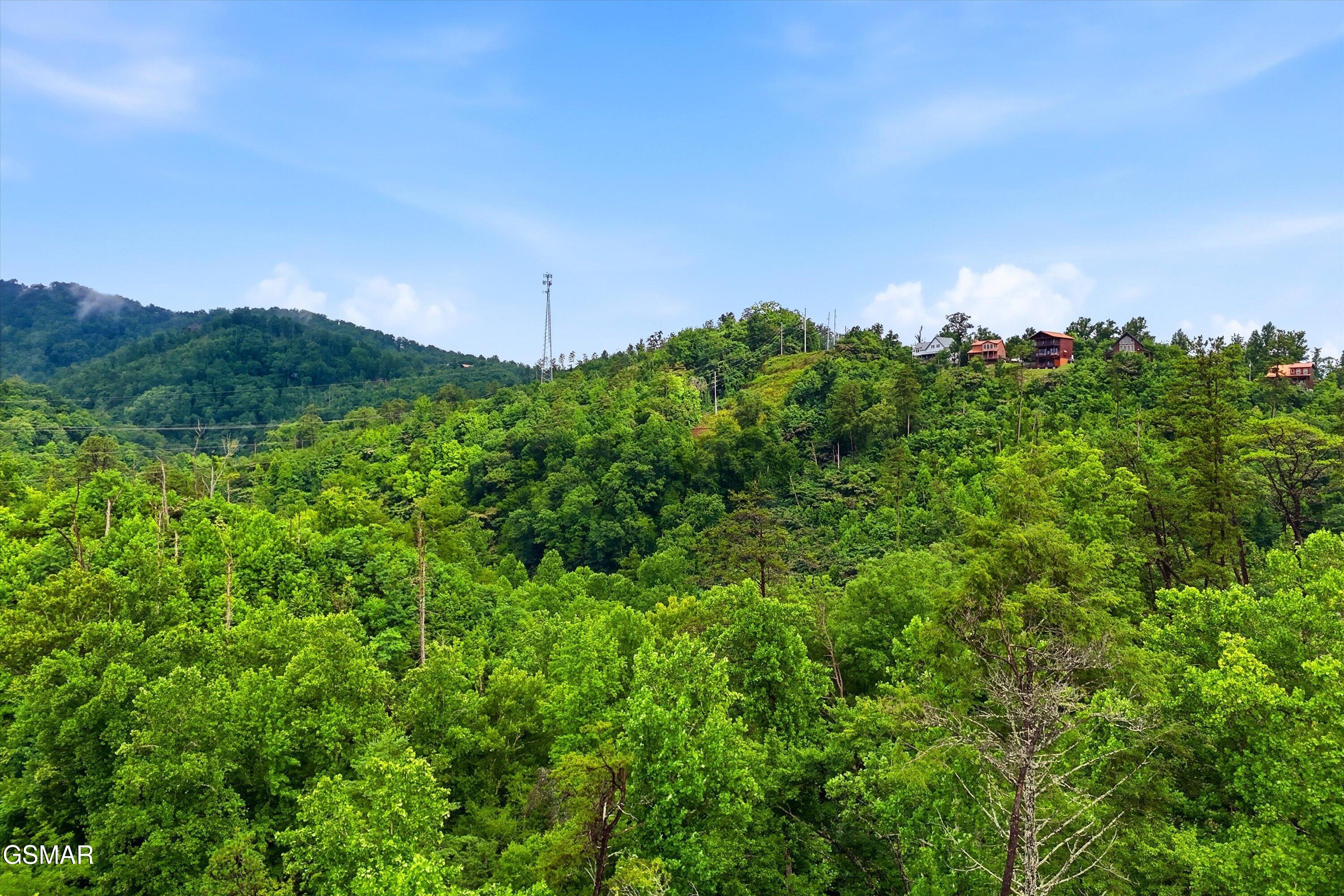 127 Beech Branch Road Gatlinburg TN 37738