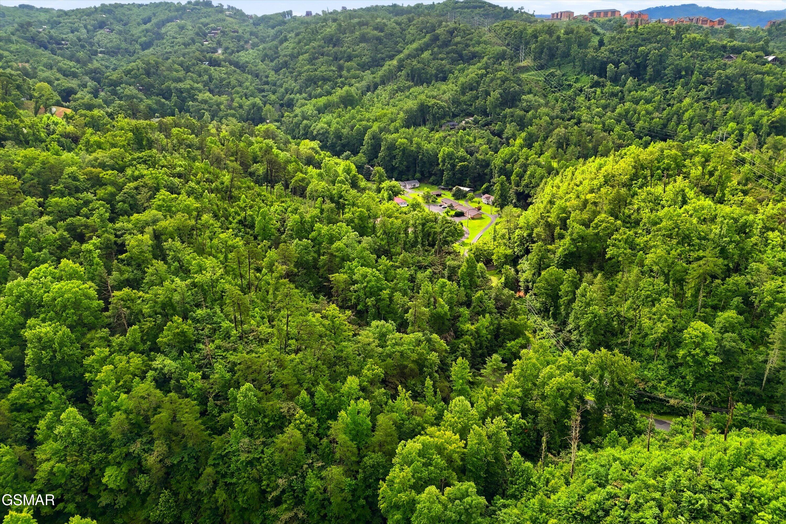 127 Beech Branch Road Gatlinburg TN 37738