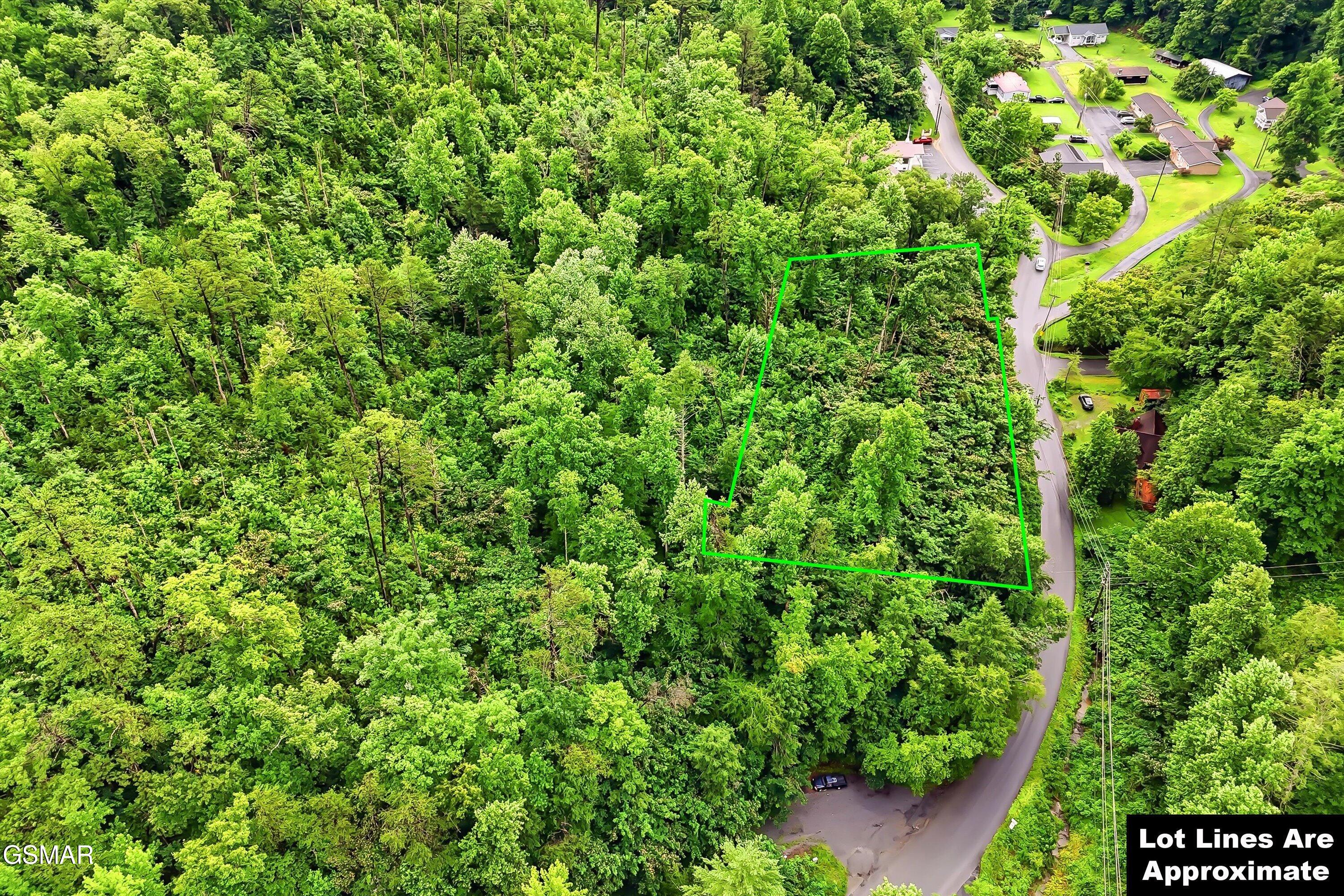 127 Beech Branch Road Gatlinburg TN 37738