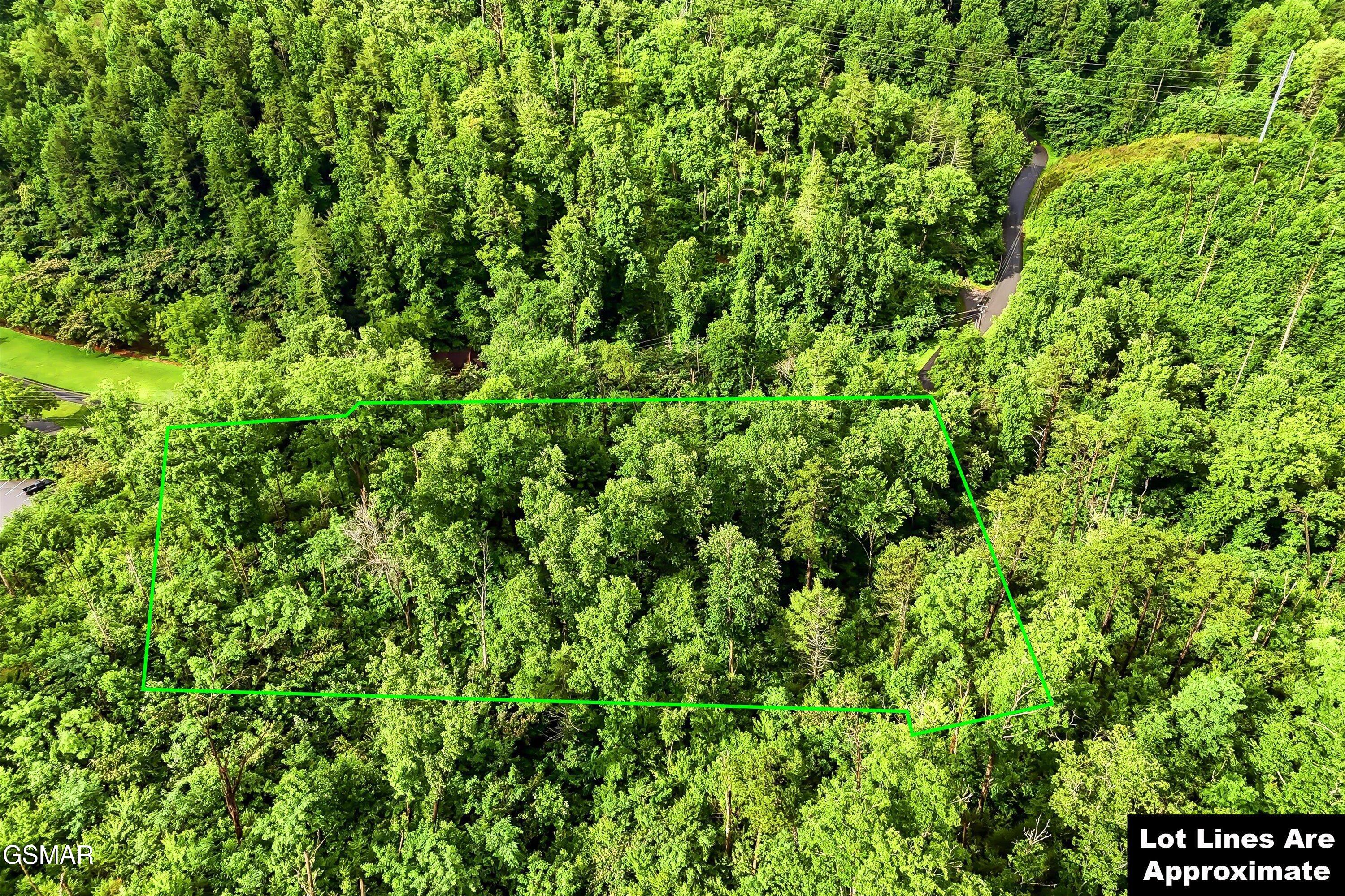 127 Beech Branch Road Gatlinburg TN 37738