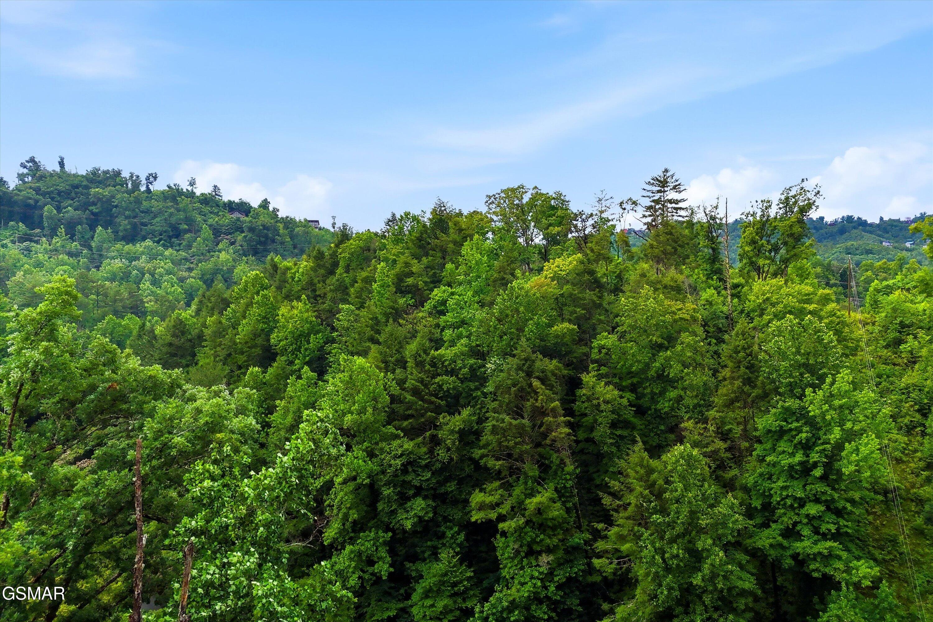 127 Beech Branch Road Gatlinburg TN 37738