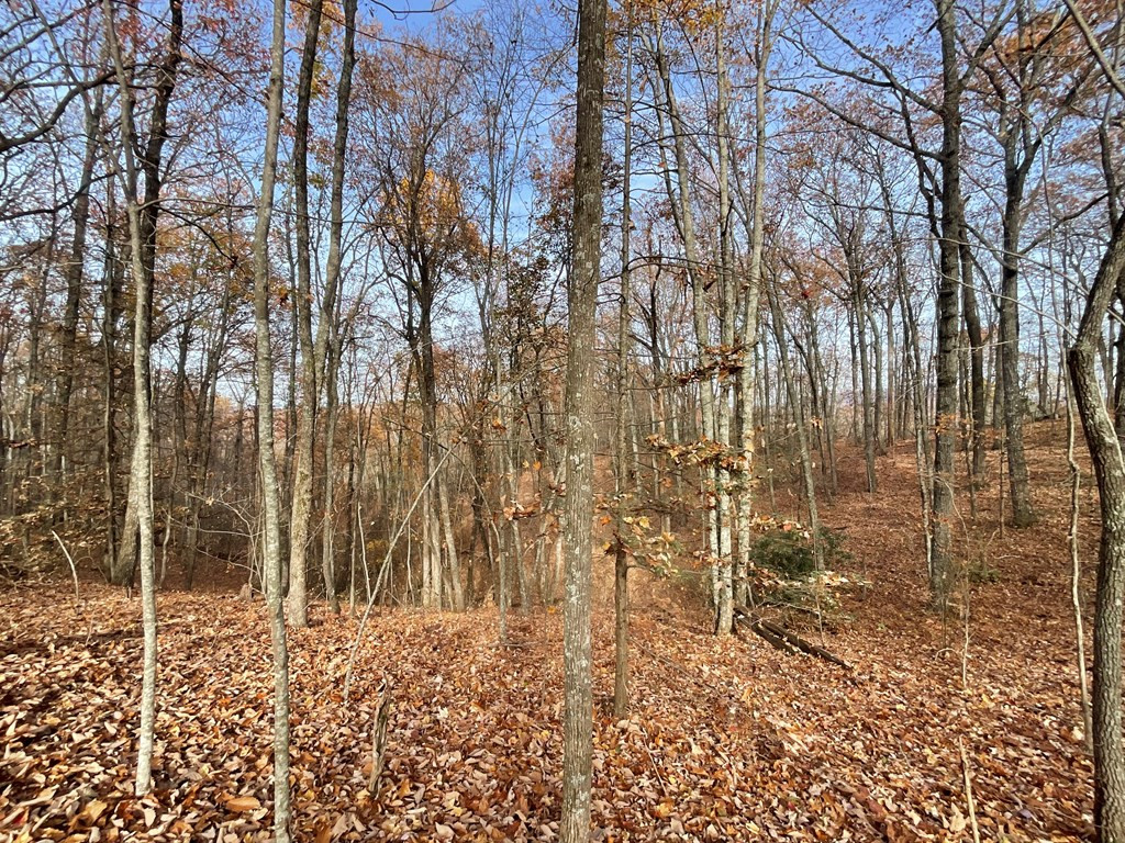0 Boogertown Road Sevierville TN 37876