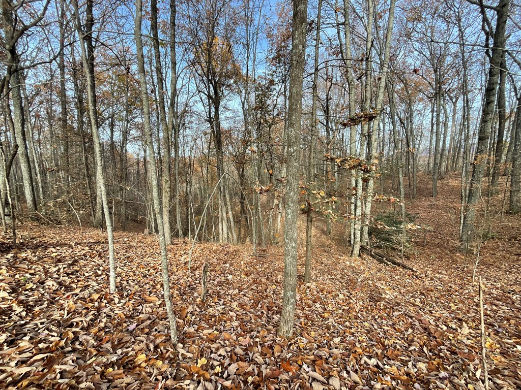 0 Boogertown Road Sevierville TN 37876