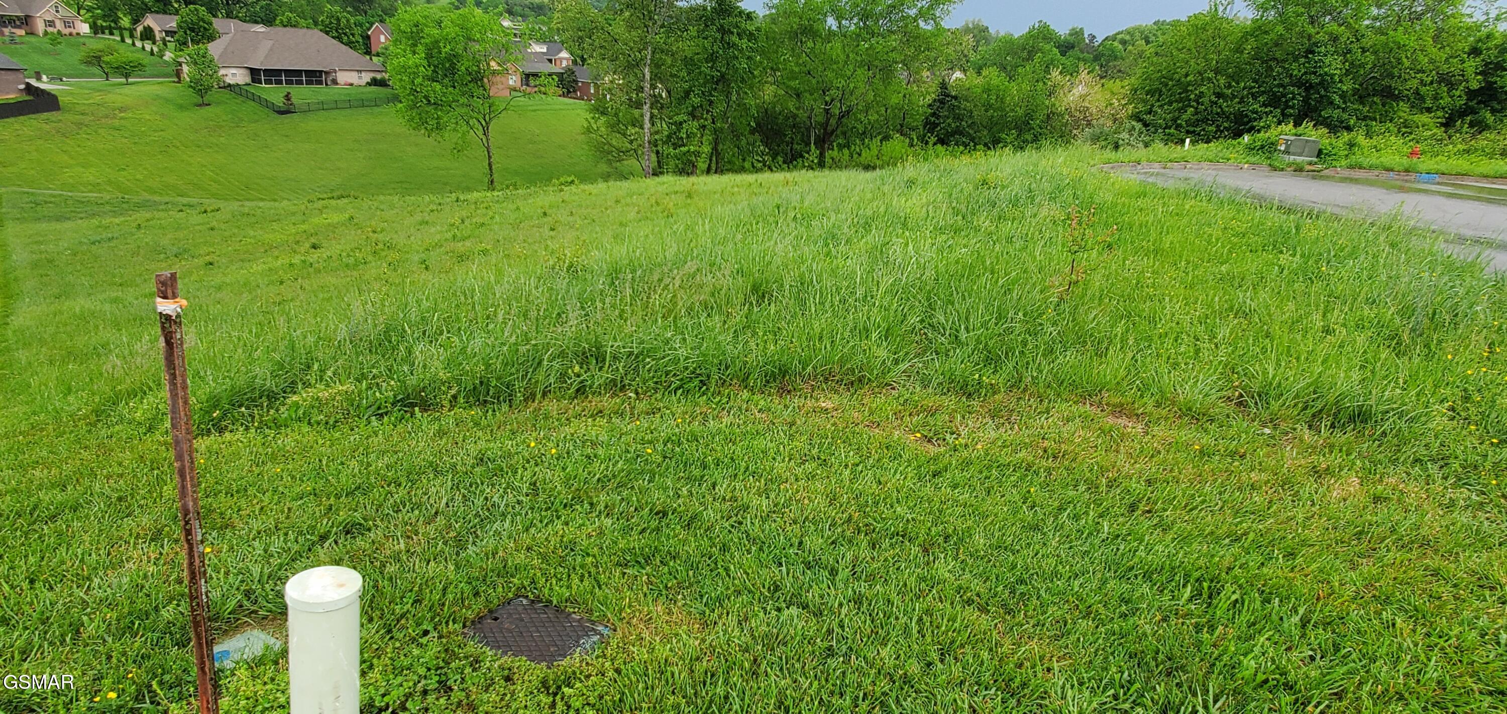 2329 Louisiana Court Seymour TN 37865
