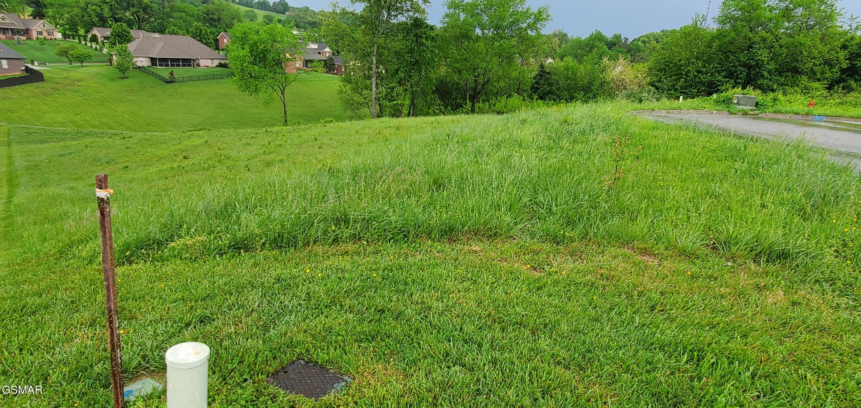 2329 Louisiana Court Seymour TN 37865