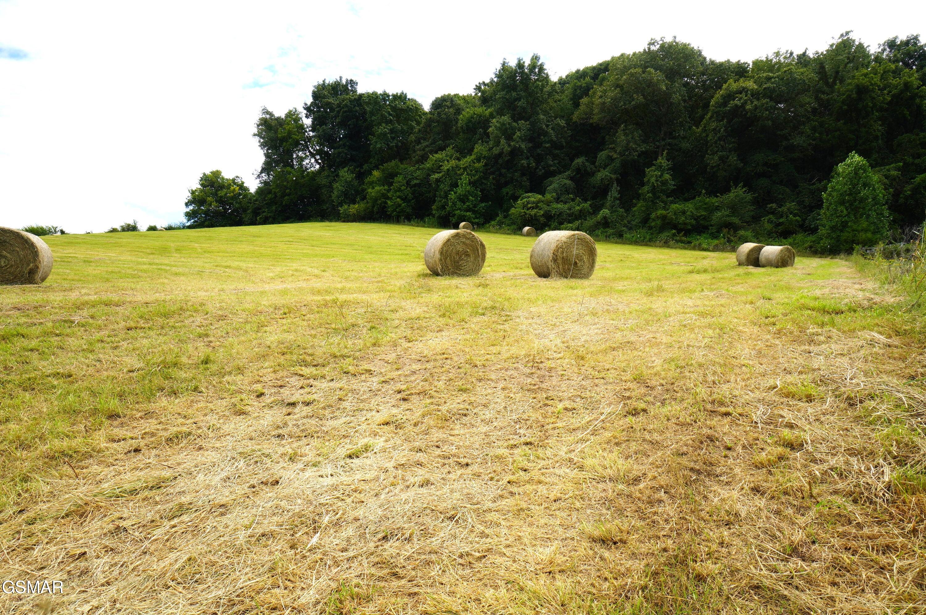 2840-2830 Robinson Creek Road Morristown TN 37813