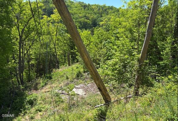 746 Ski Mountain Road Gatlinburg TN 37738