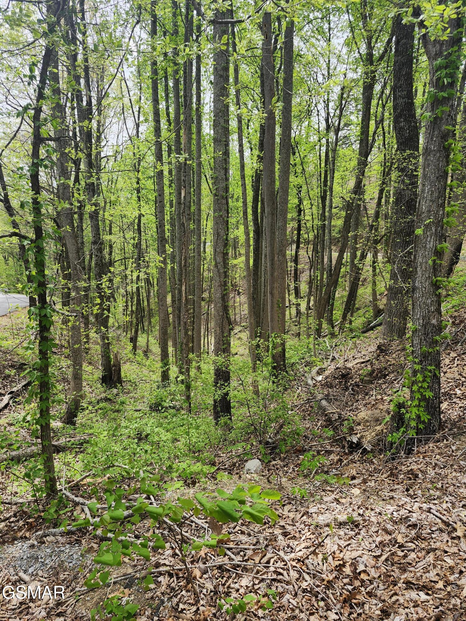 Lot 1 Hatcher Mtn Road Sevierville TN 37862