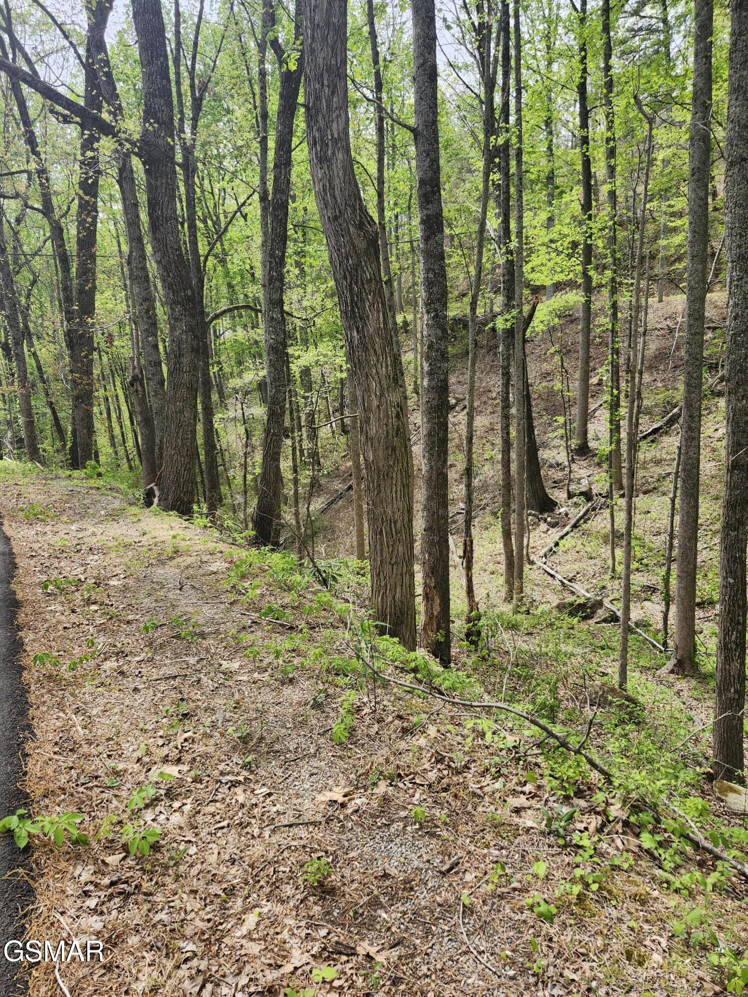 Lot 1 Hatcher Mtn Road Sevierville TN 37862