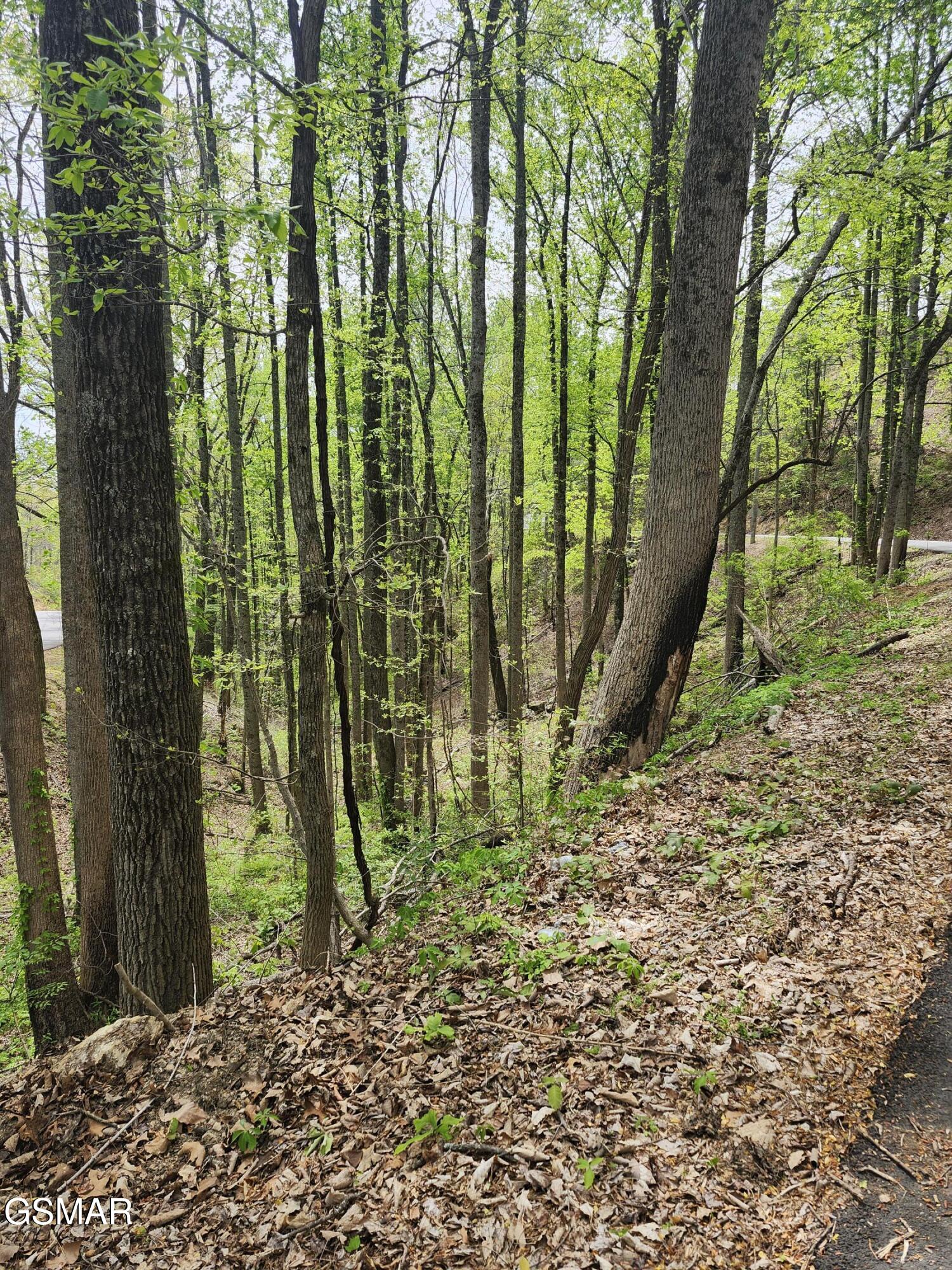 Lot 1 Hatcher Mtn Road Sevierville TN 37862