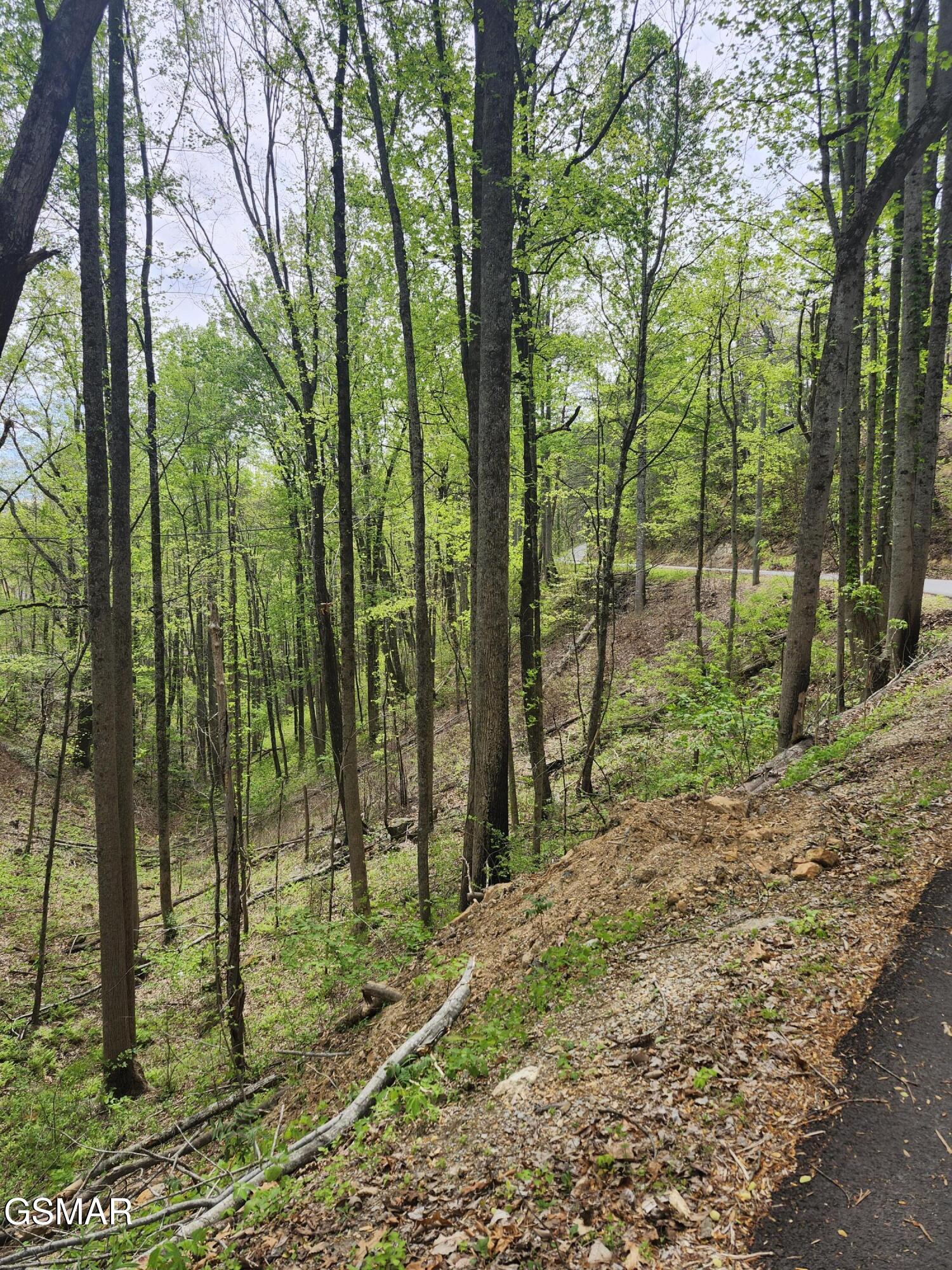 Lot 1 Hatcher Mtn Road Sevierville TN 37862