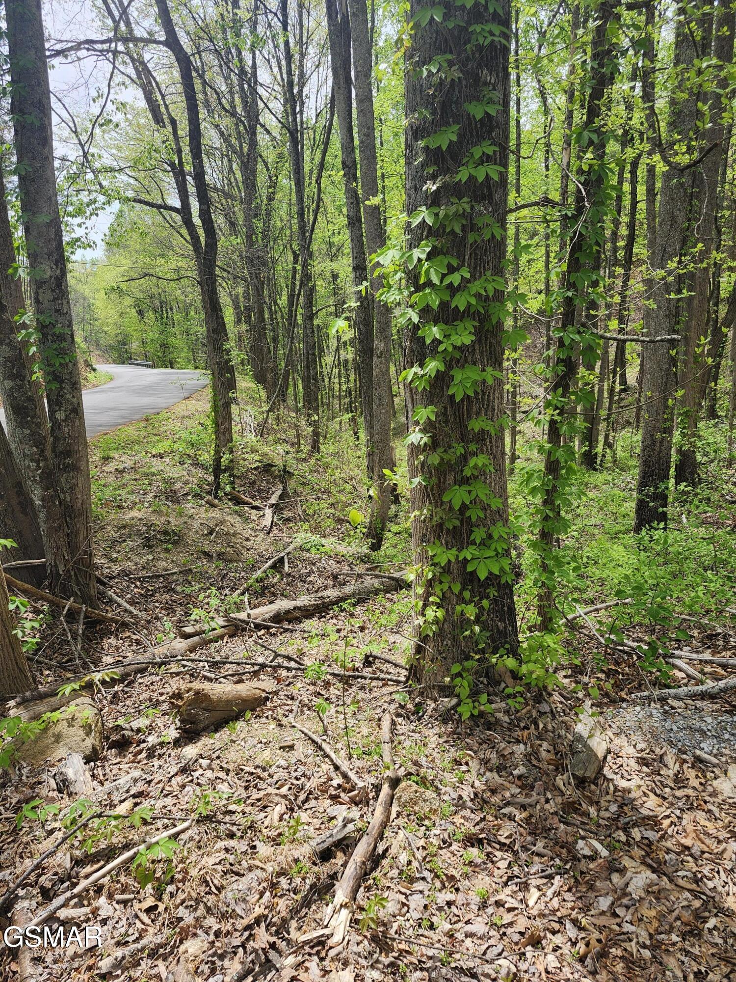 Lot 1 Hatcher Mtn Road Sevierville TN 37862