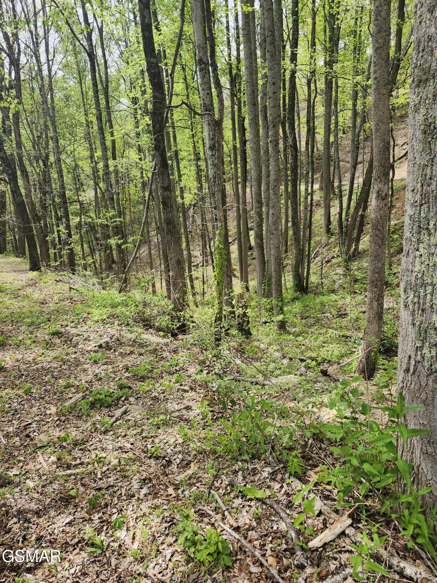 Lot 1 Hatcher Mtn Road Sevierville TN 37862
