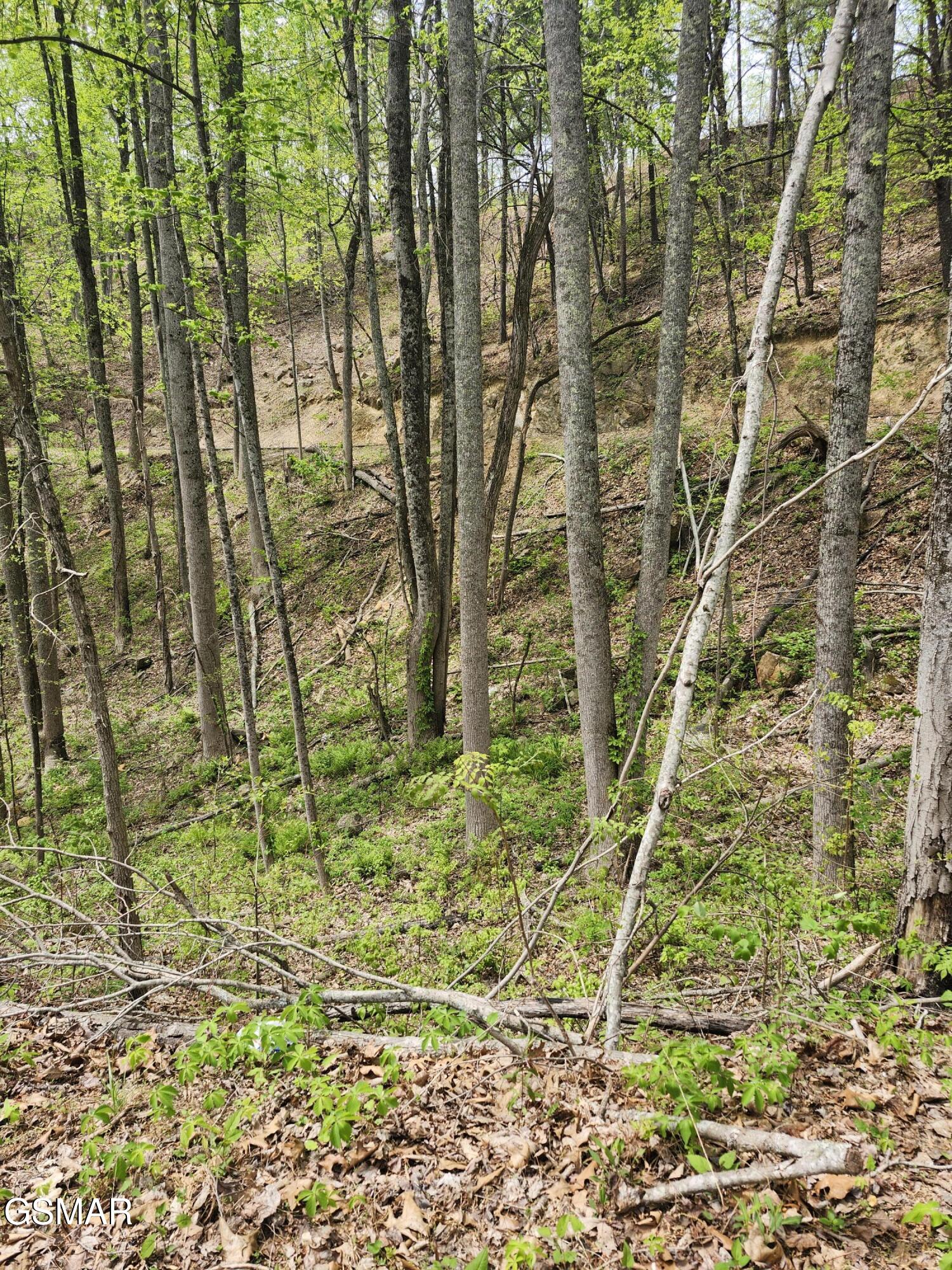 Lot 1 Hatcher Mtn Road Sevierville TN 37862