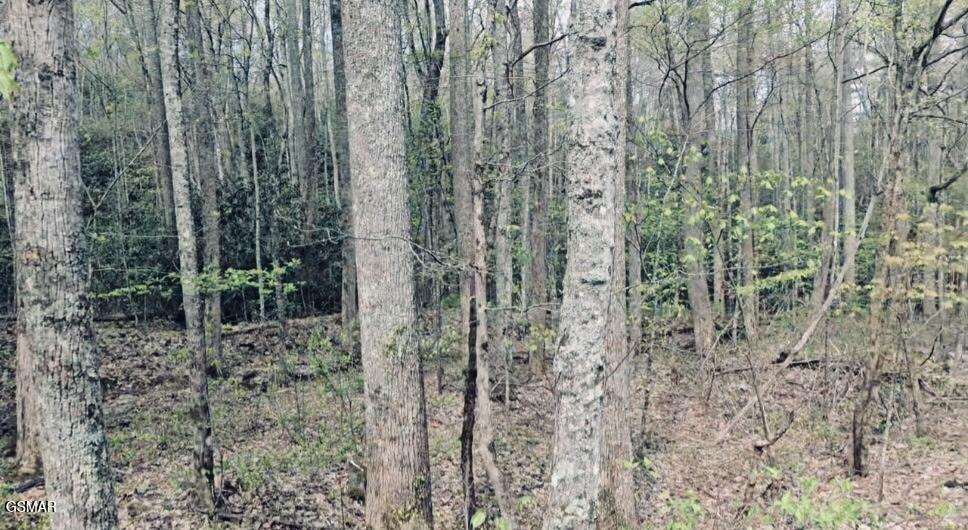 4046 Forest Trails Drive Sevierville TN 37876