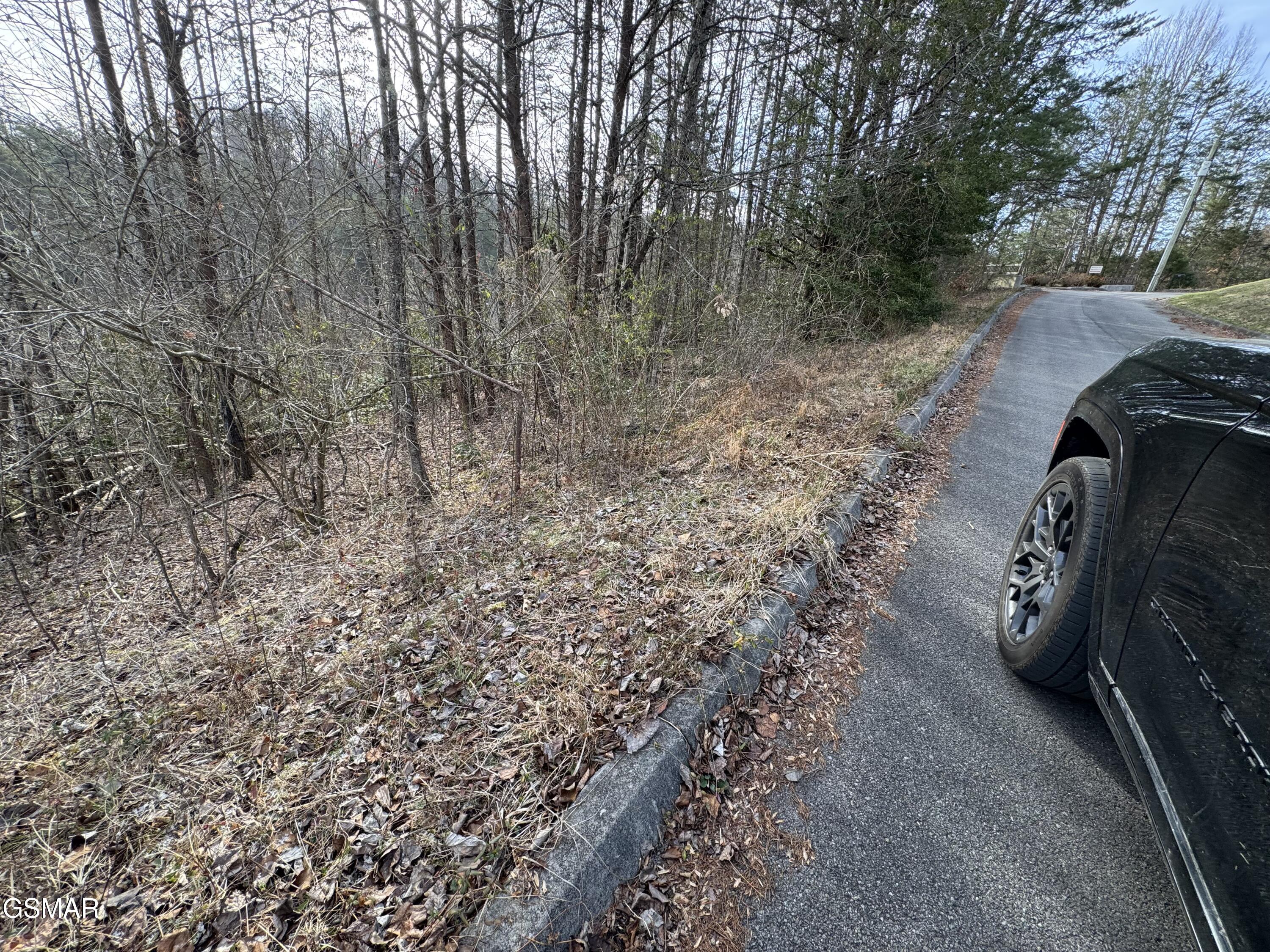 Lot 18 Katelyns Lane Sevierville TN 37876