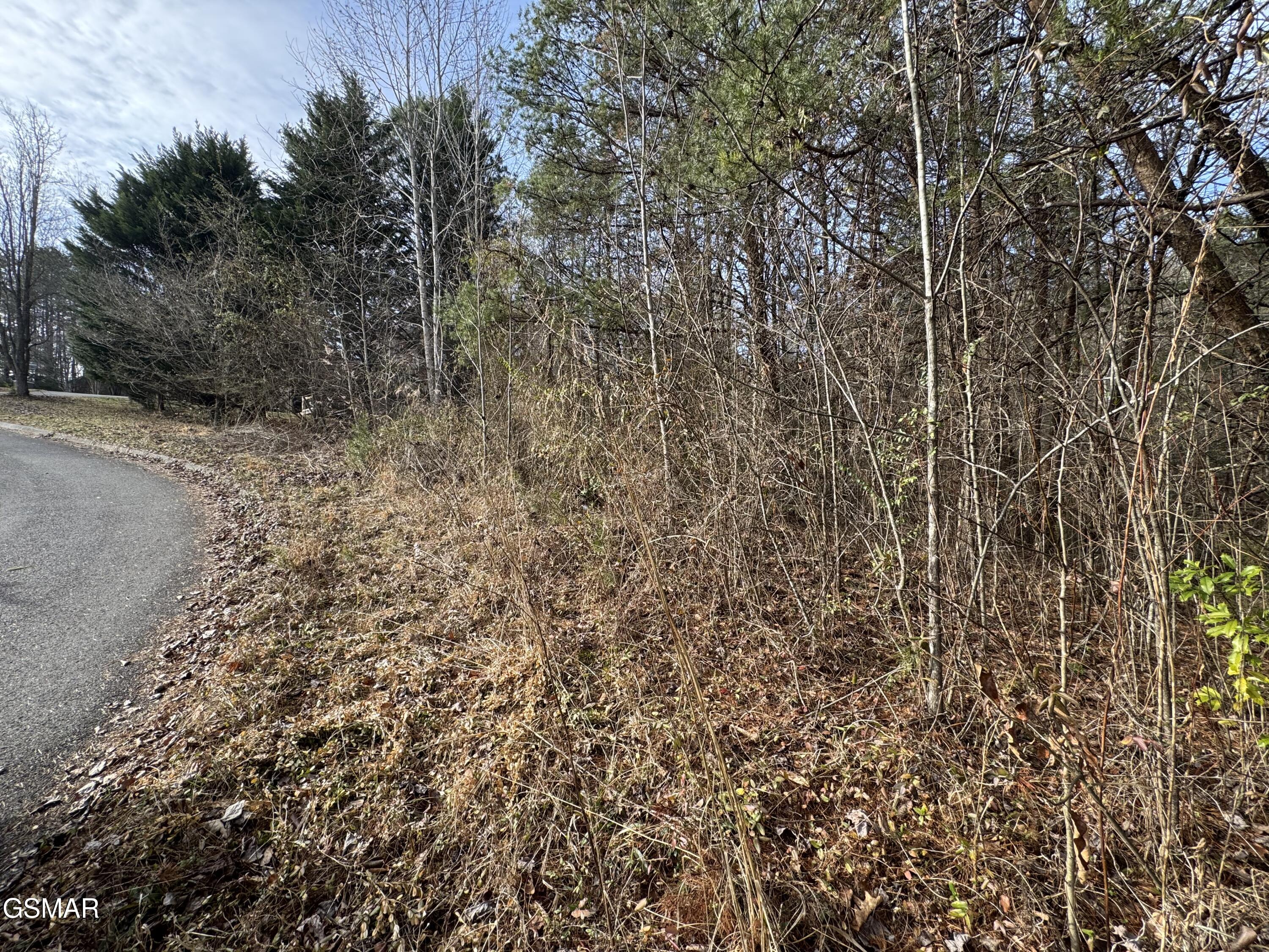 Lot 18 Katelyns Lane Sevierville TN 37876