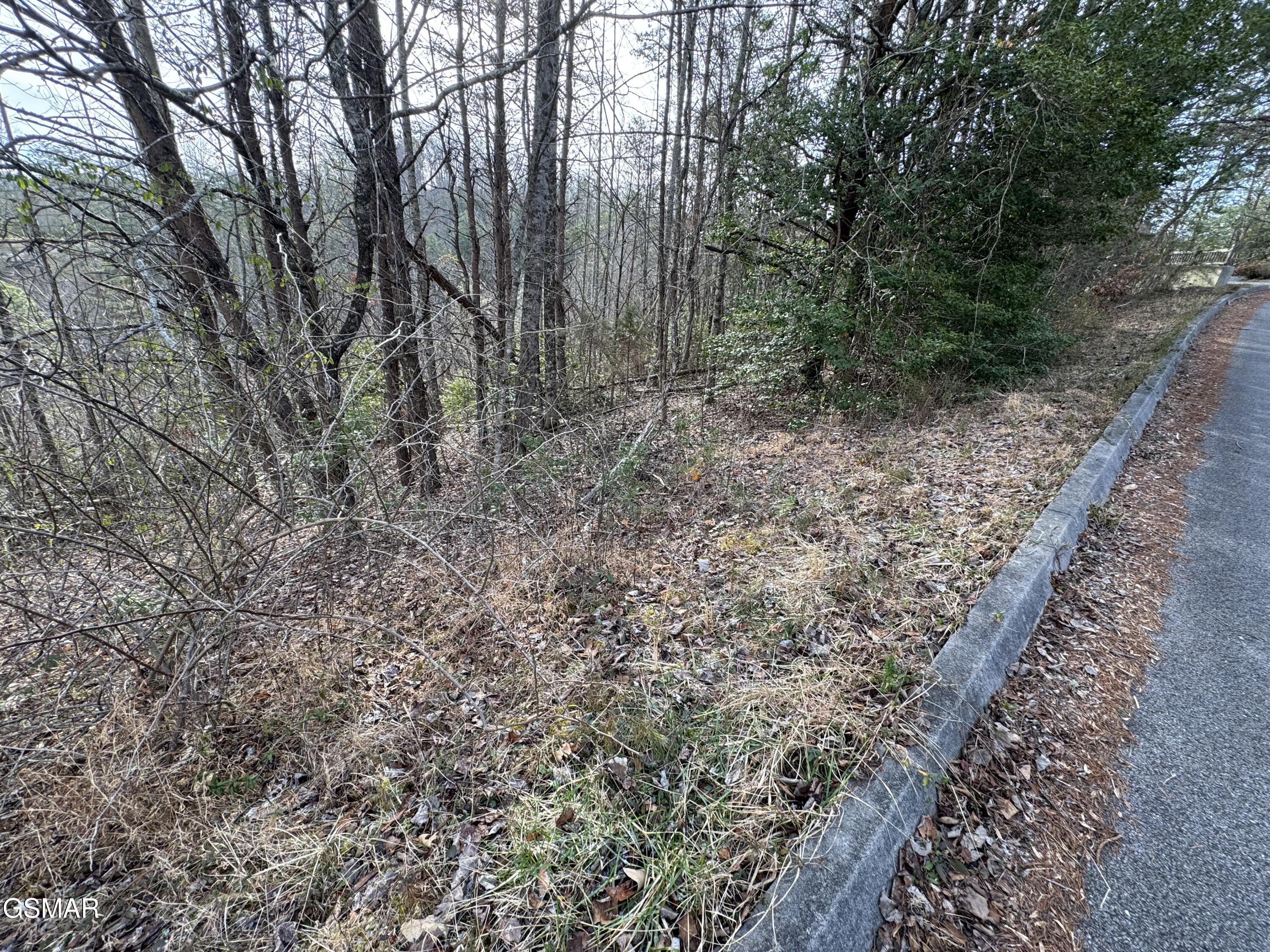 Lot 18 Katelyns Lane Sevierville TN 37876