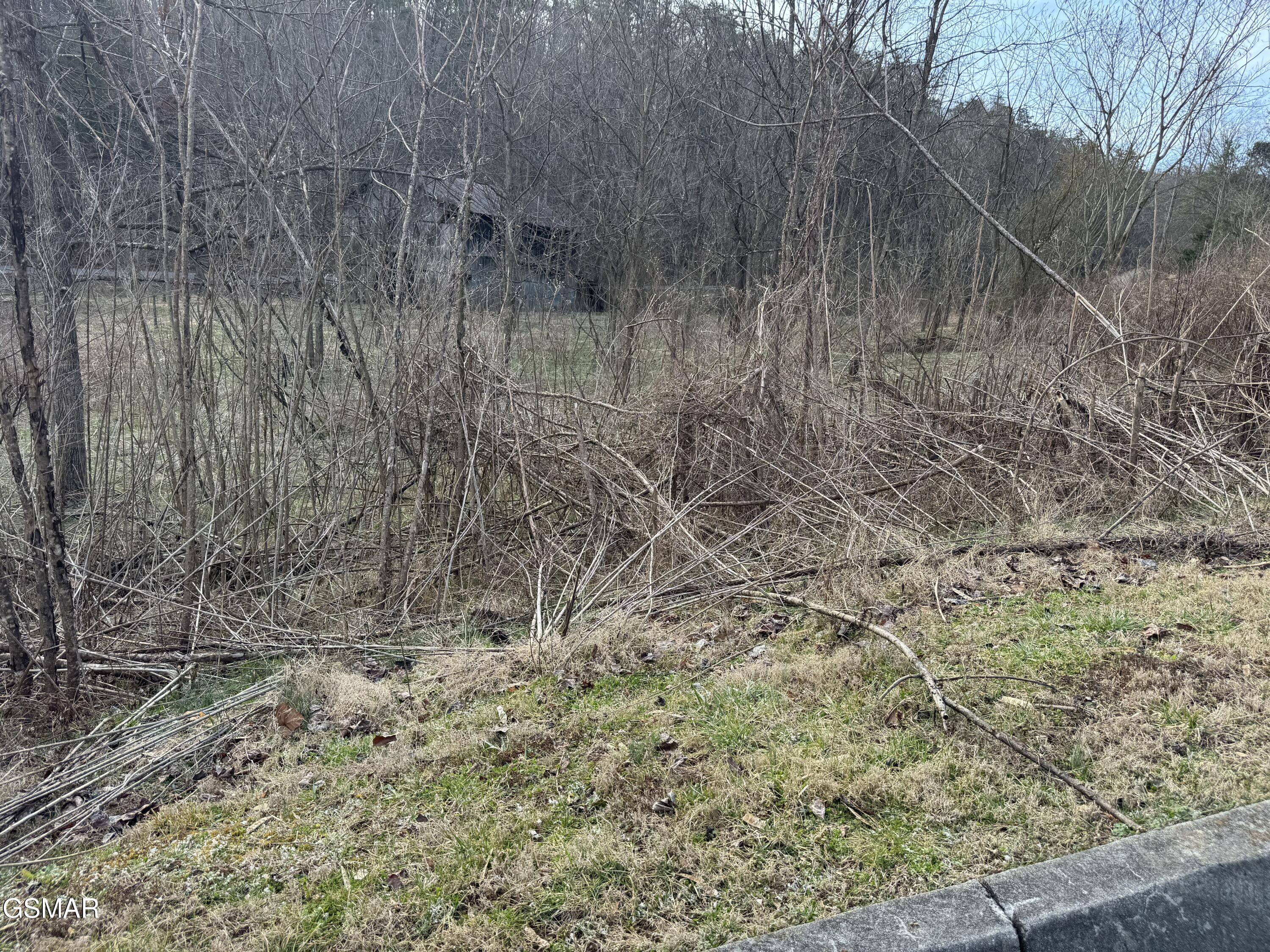 Lot 18 Katelyns Lane Sevierville TN 37876