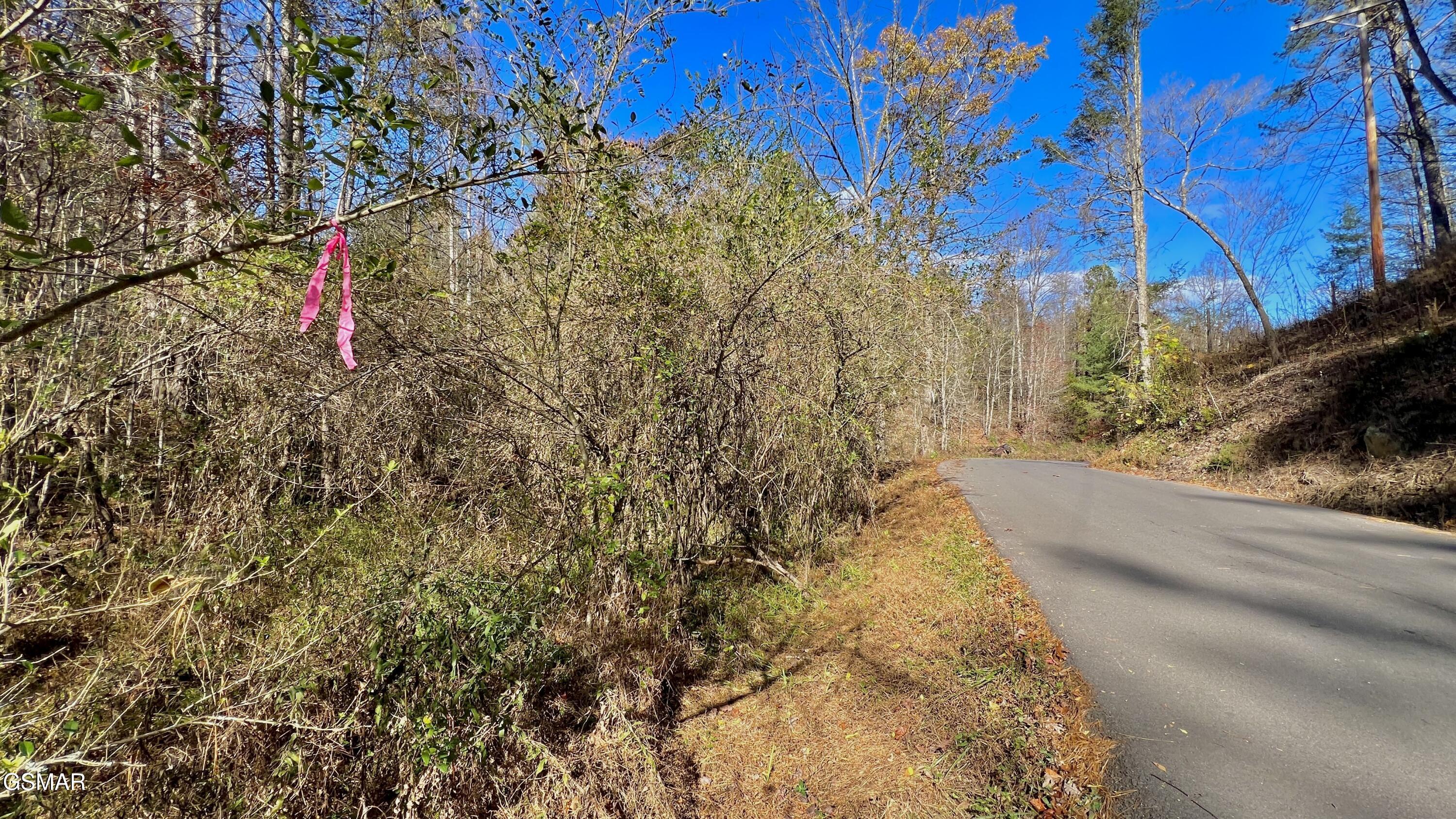 8 Lots Grassy Branch Loop Sevierville TN 37876