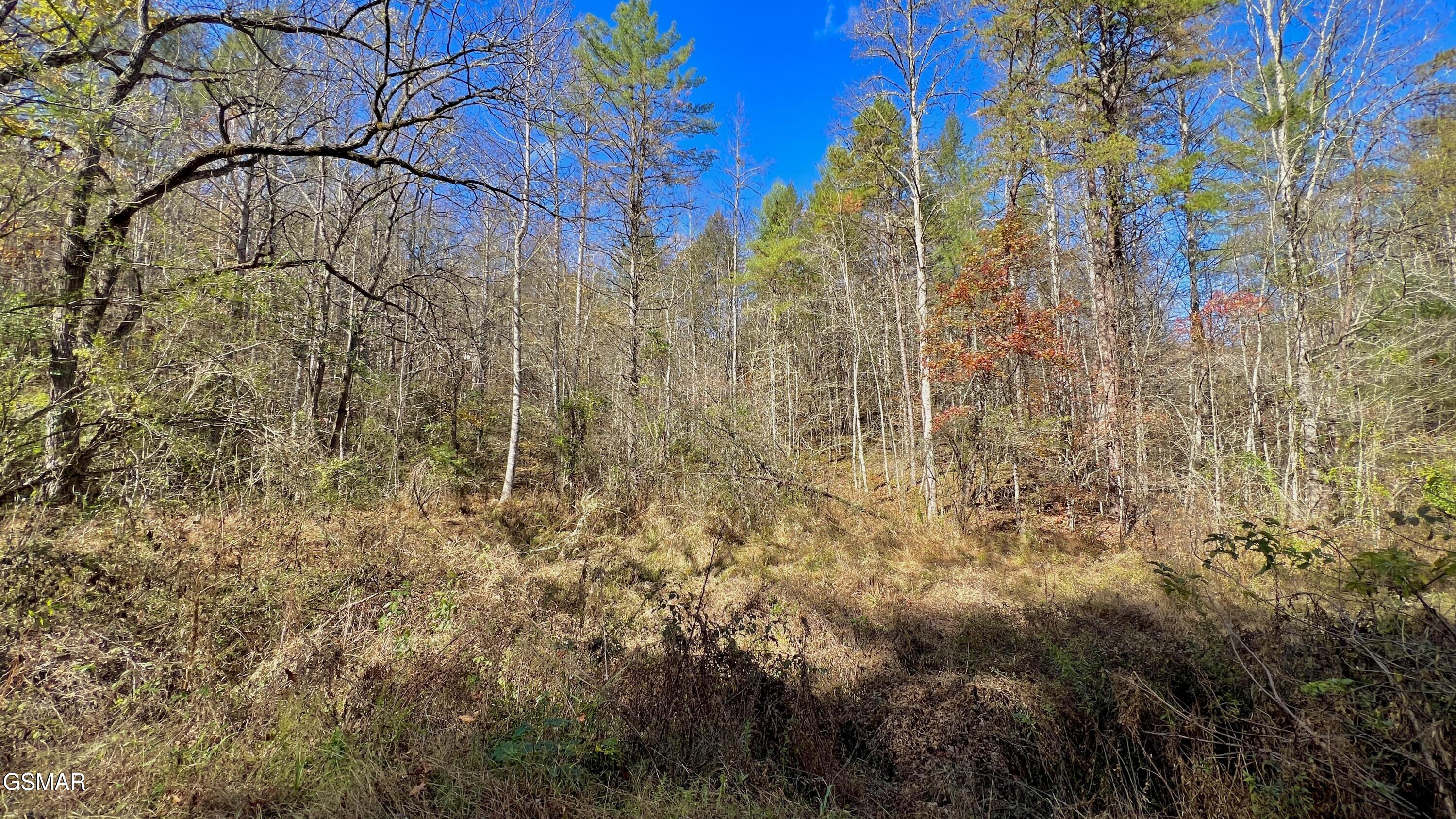 8 Lots Grassy Branch Loop Sevierville TN 37876