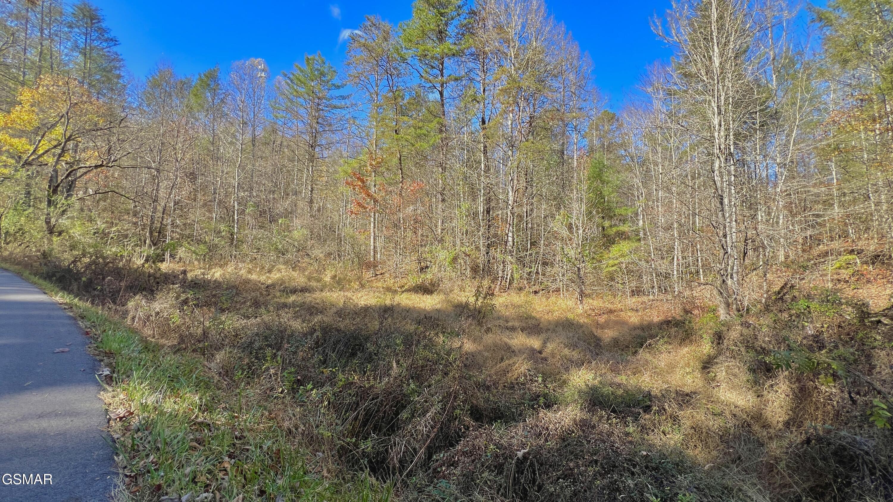 8 Lots Grassy Branch Loop Sevierville TN 37876