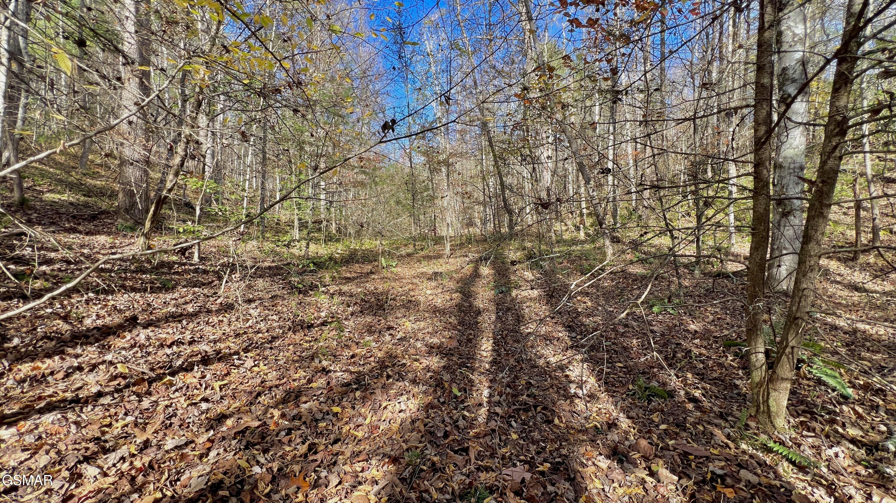 8 Lots Grassy Branch Loop Sevierville TN 37876