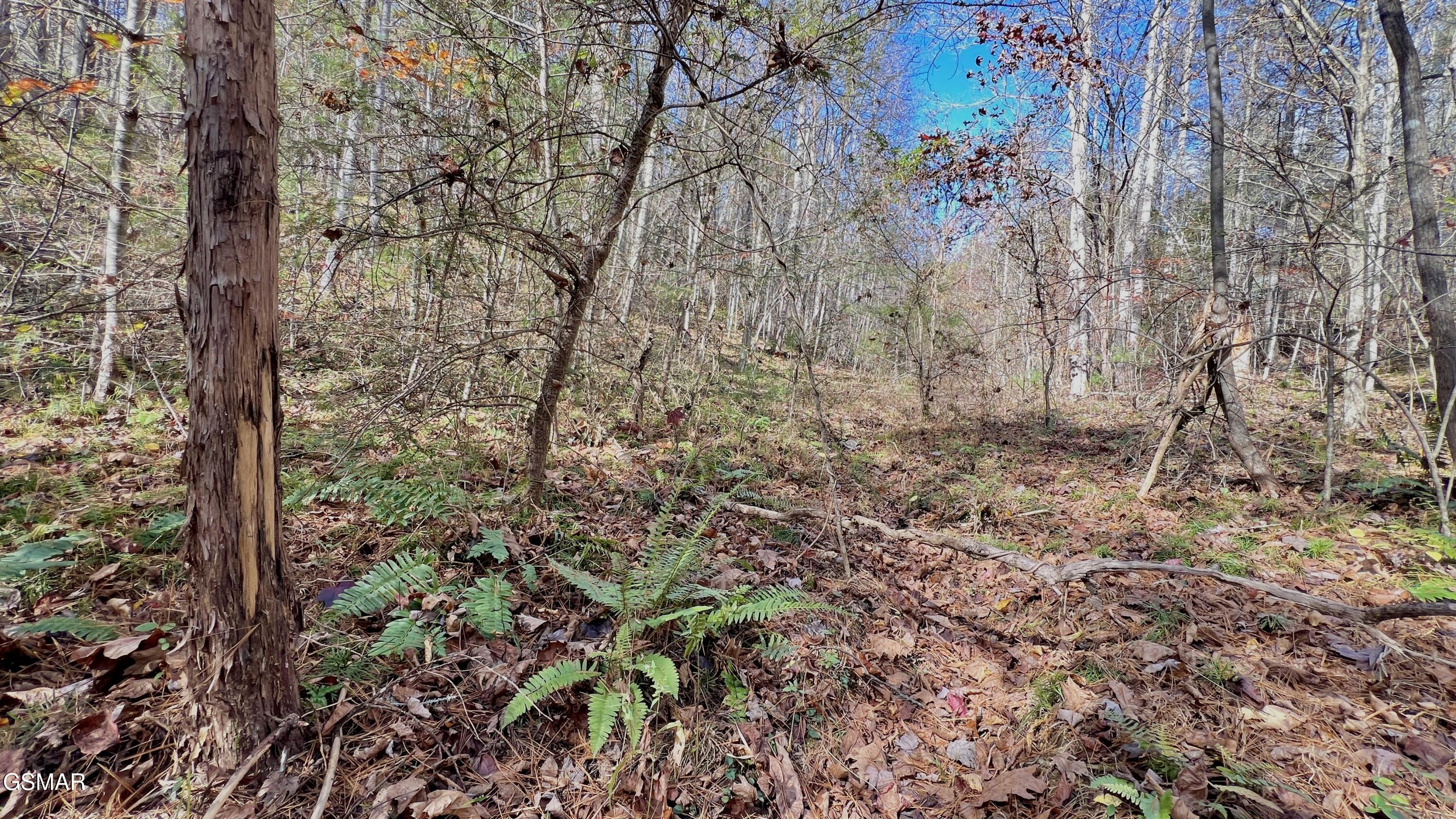 8 Lots Grassy Branch Loop Sevierville TN 37876