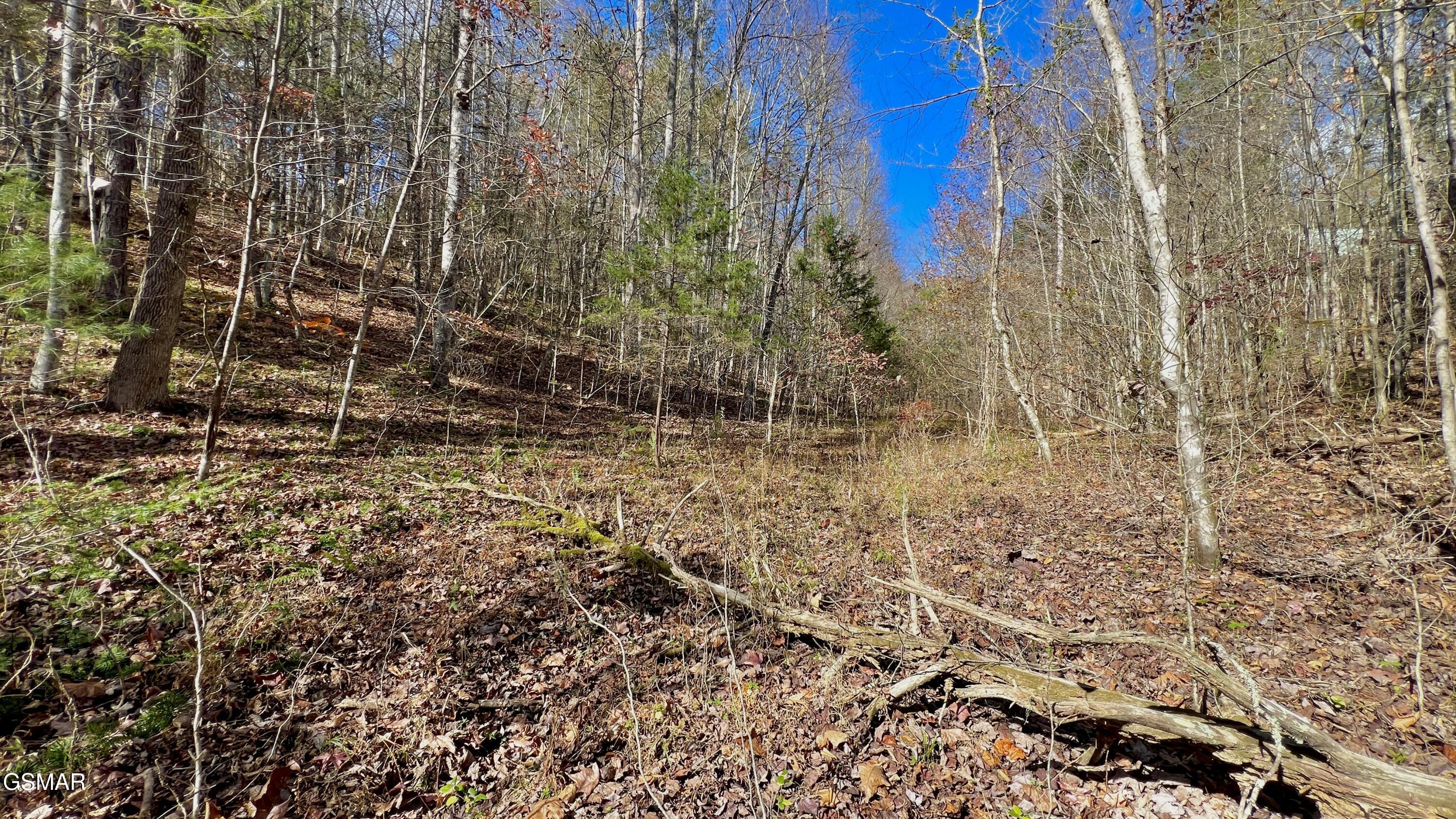 8 Lots Grassy Branch Loop Sevierville TN 37876
