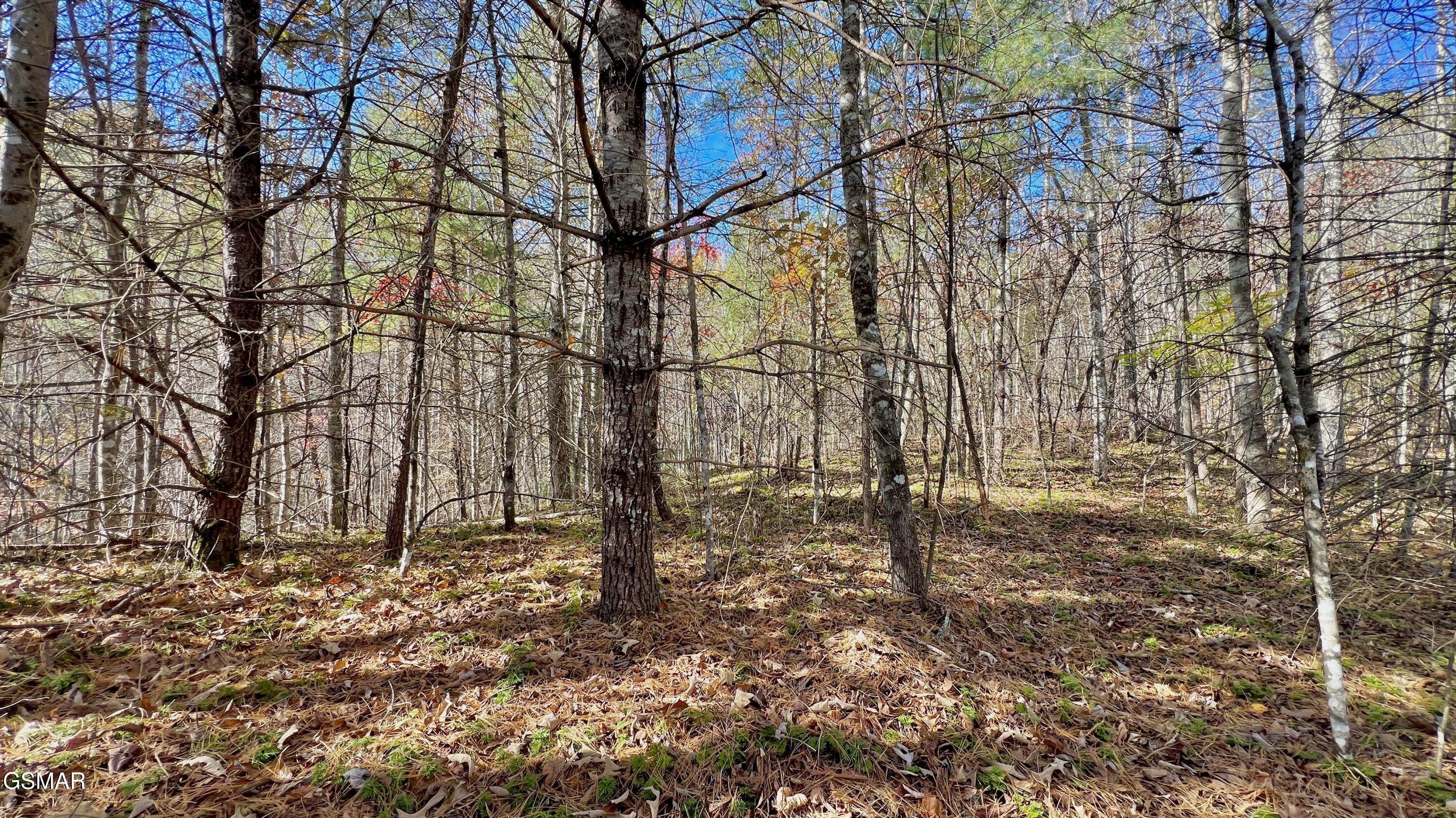 8 Lots Grassy Branch Loop Sevierville TN 37876
