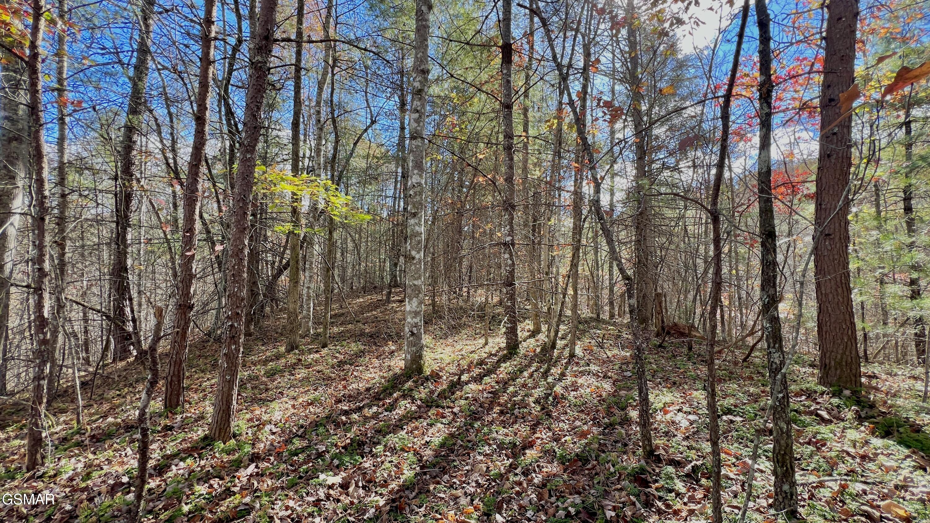8 Lots Grassy Branch Loop Sevierville TN 37876