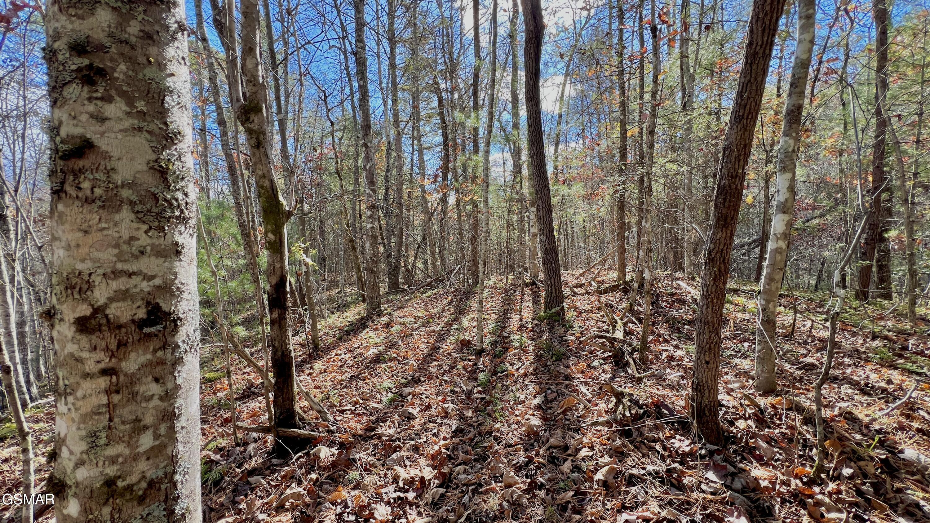 8 Lots Grassy Branch Loop Sevierville TN 37876