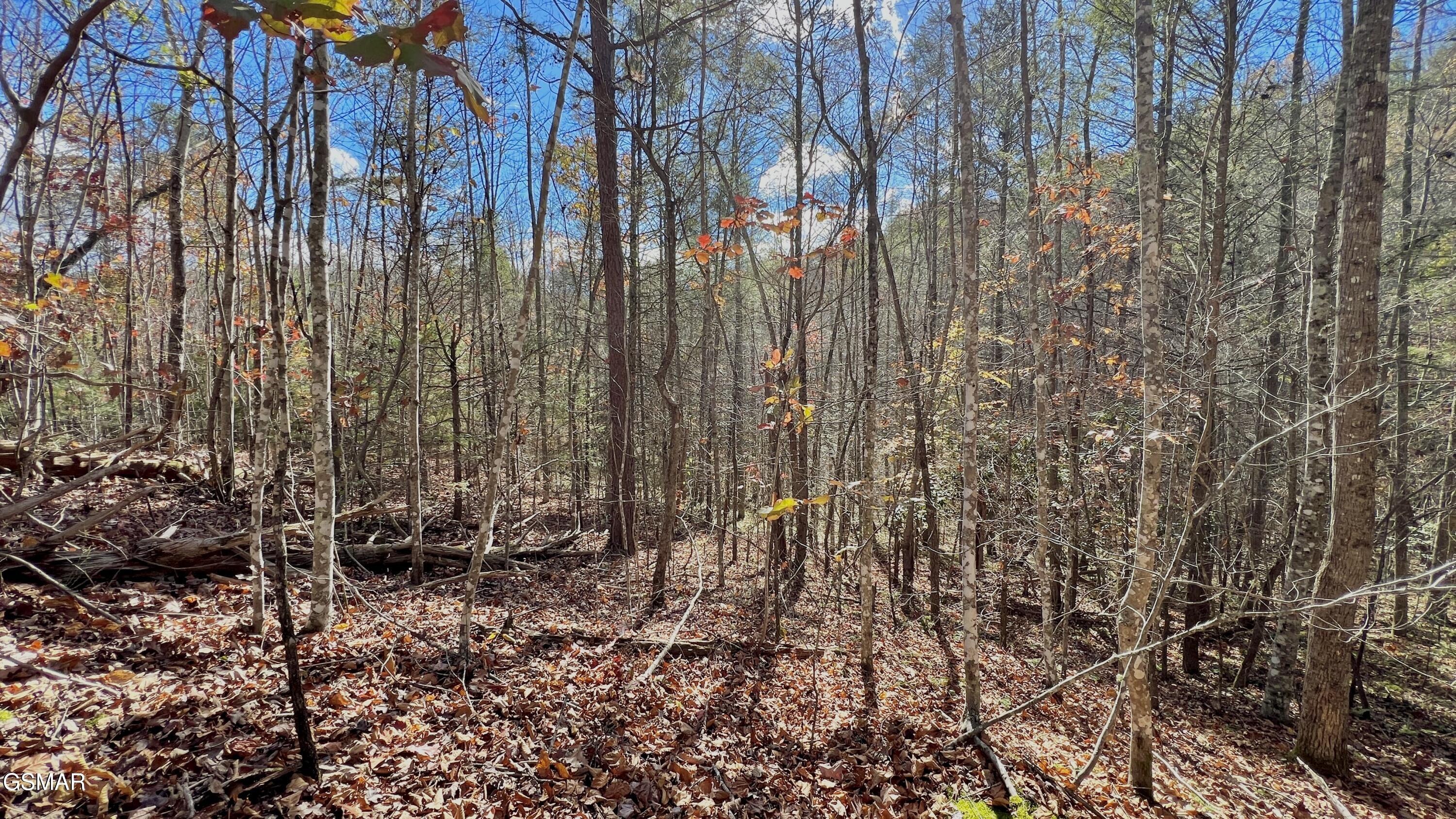 8 Lots Grassy Branch Loop Sevierville TN 37876