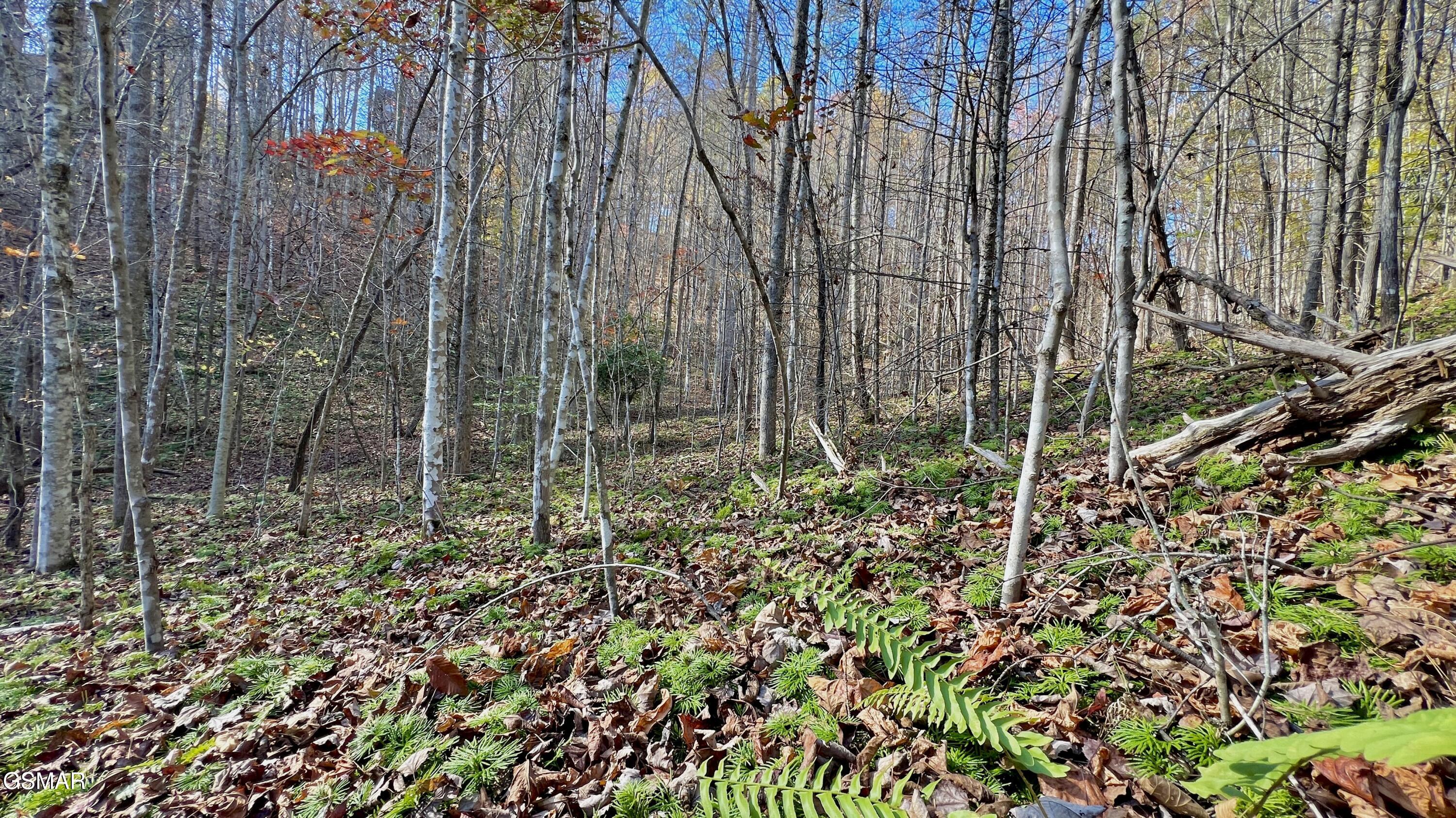 8 Lots Grassy Branch Loop Sevierville TN 37876