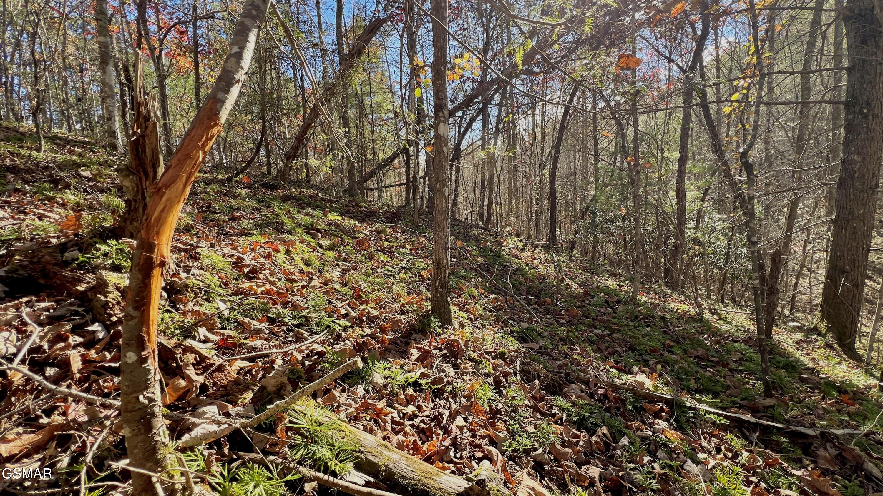 8 Lots Grassy Branch Loop Sevierville TN 37876