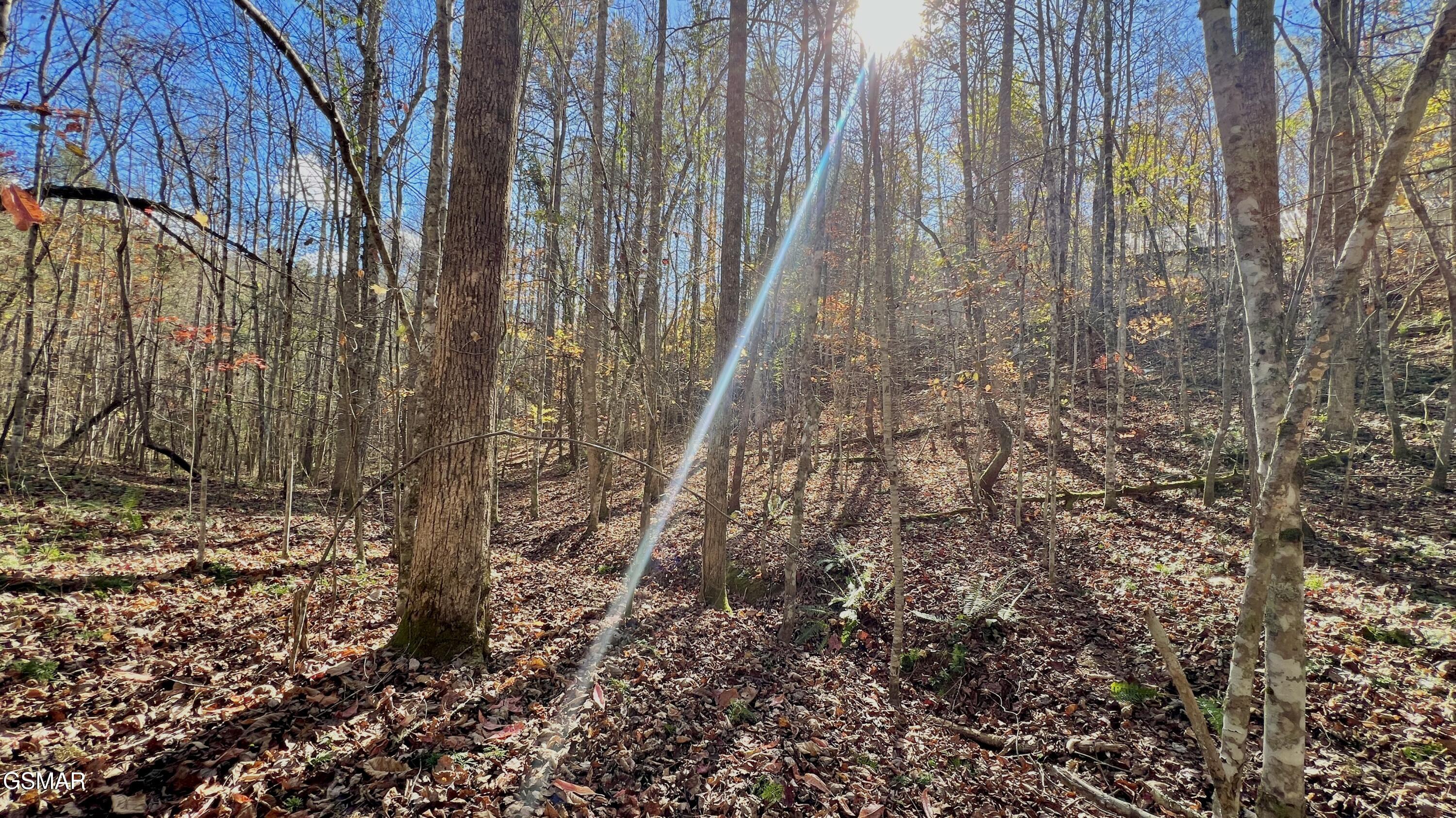 8 Lots Grassy Branch Loop Sevierville TN 37876