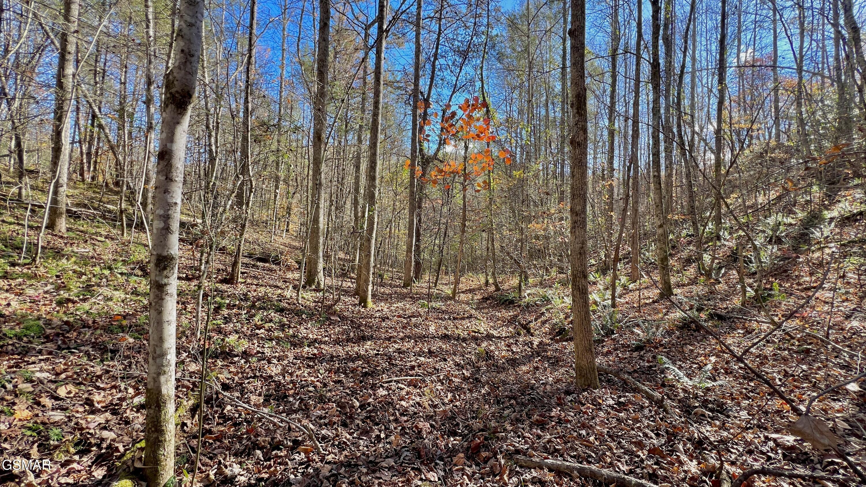 8 Lots Grassy Branch Loop Sevierville TN 37876