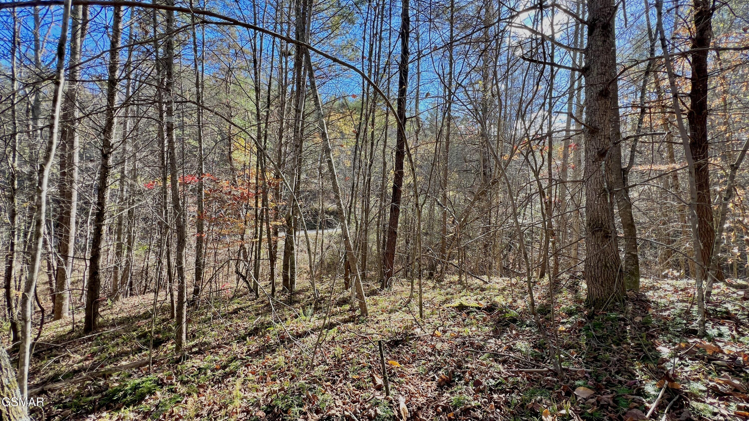 8 Lots Grassy Branch Loop Sevierville TN 37876