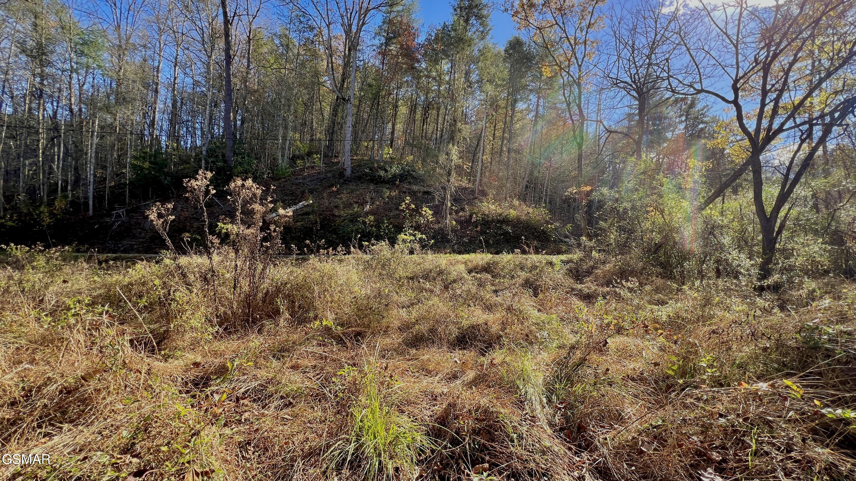 8 Lots Grassy Branch Loop Sevierville TN 37876