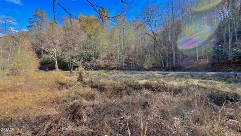 8 LOTS Grassy Branch Loop Sevierville TN 37876