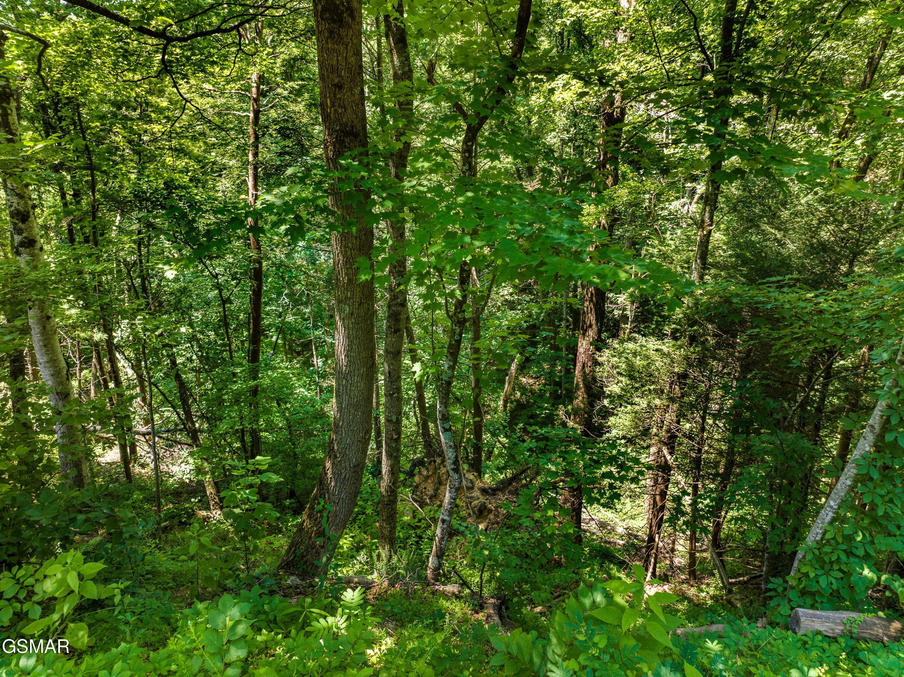 1005 Laurel Road Townsend TN 37882